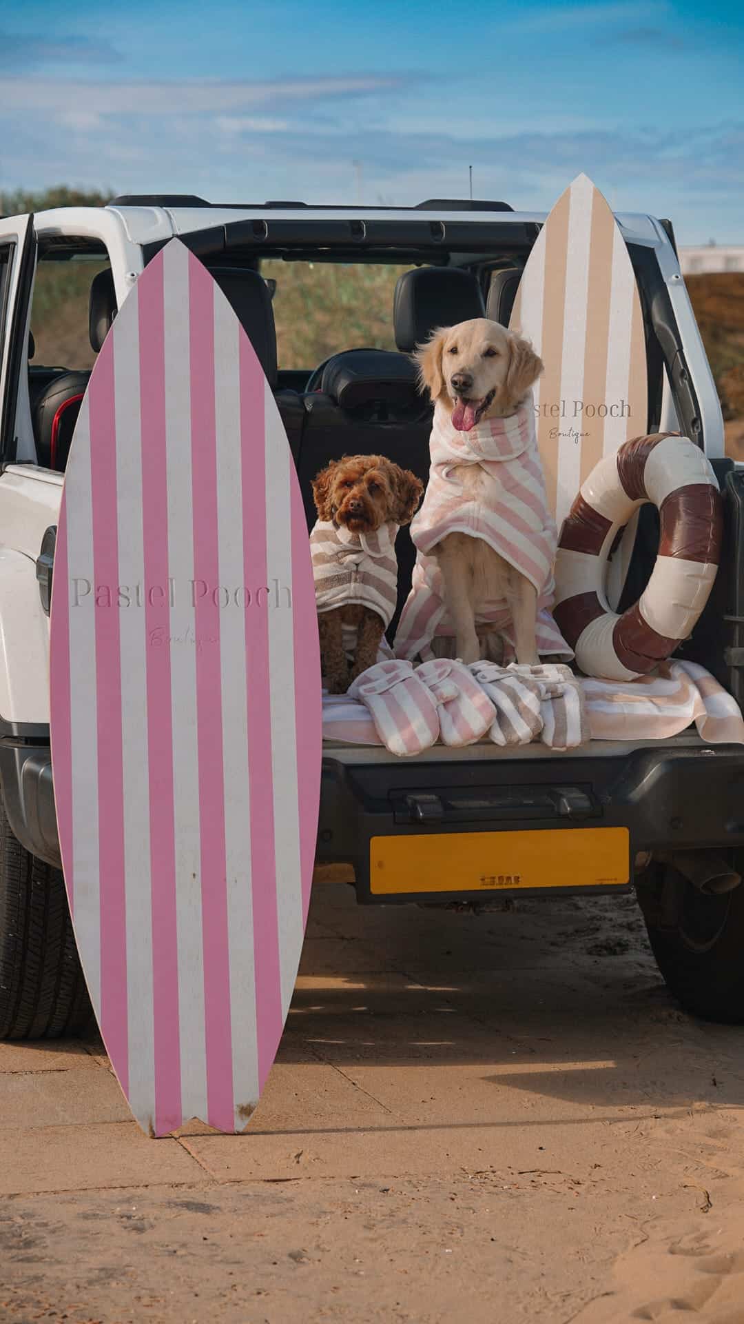 Pastel Pooch Boutique ® Dog Drying Gloves