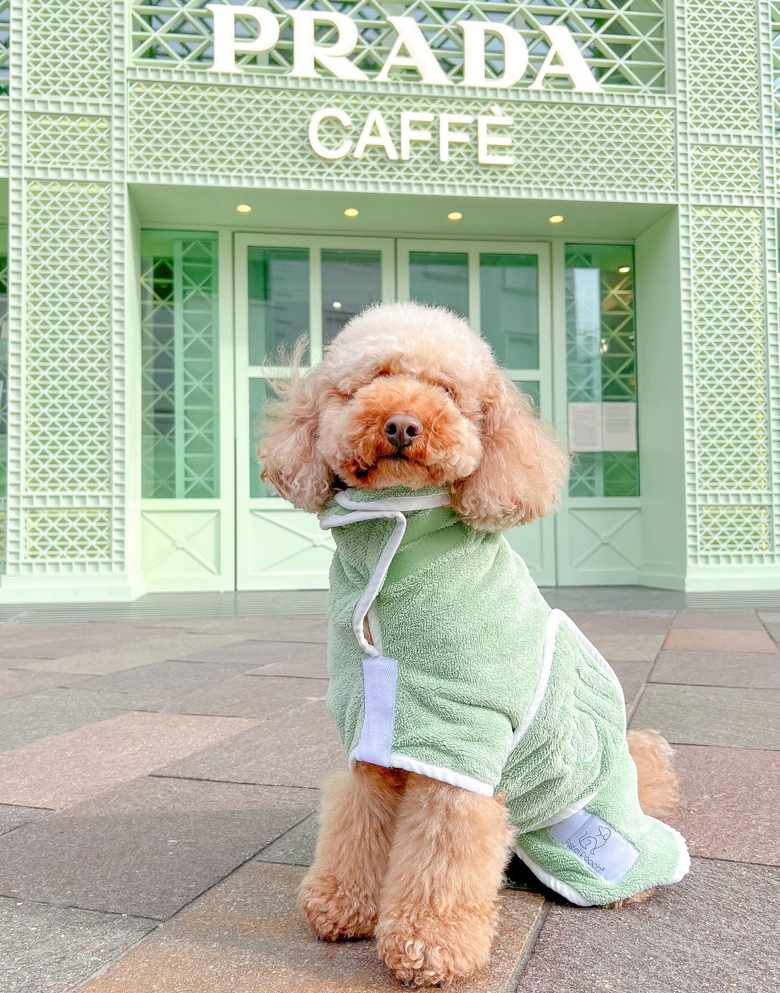 Pastel Pooch Boutique ® Dog Drying Coat (Gen 1 - The Original) Clearance Sale