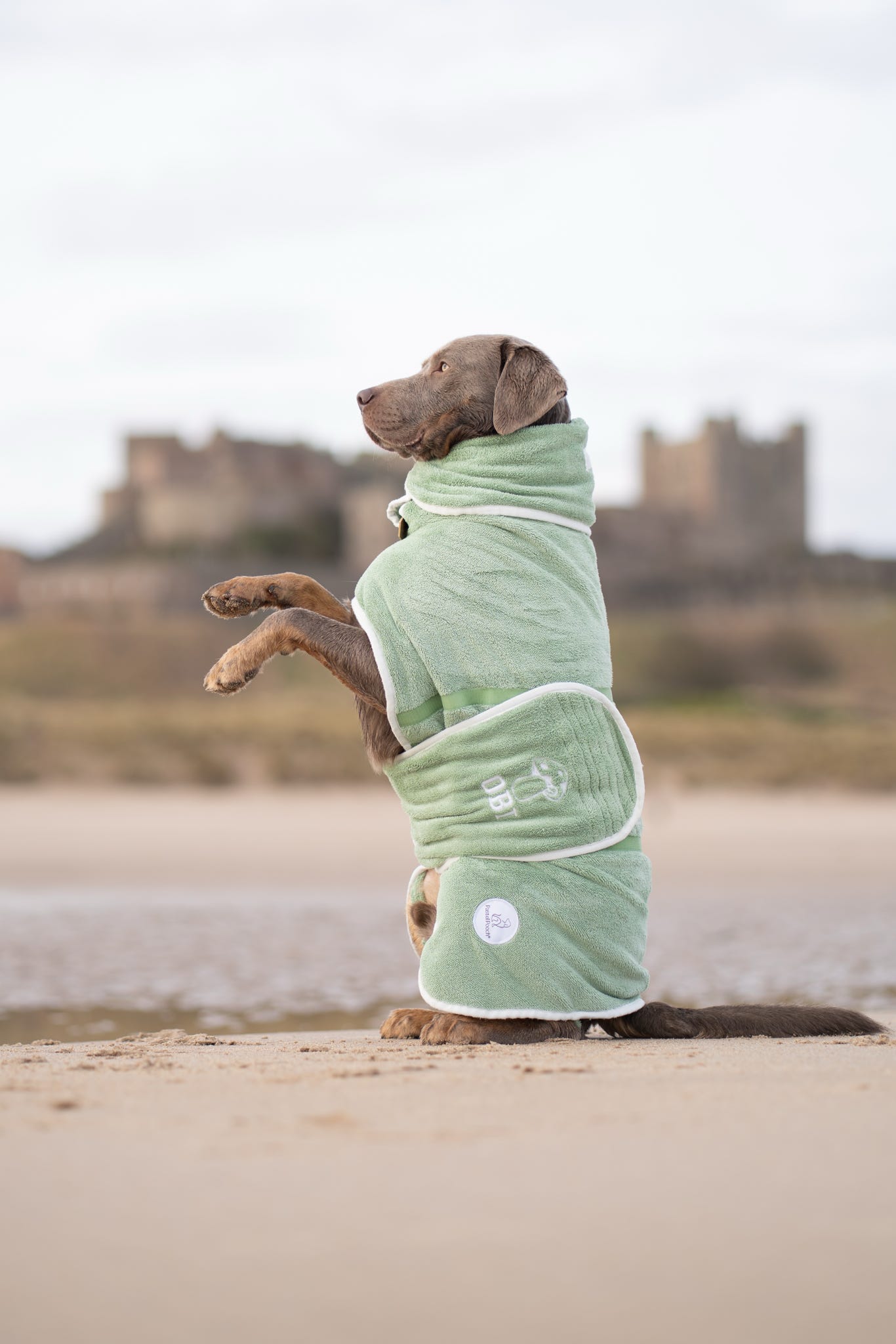 Pastel Pooch® Dog Drying Coat (Gen 2- The Modified)