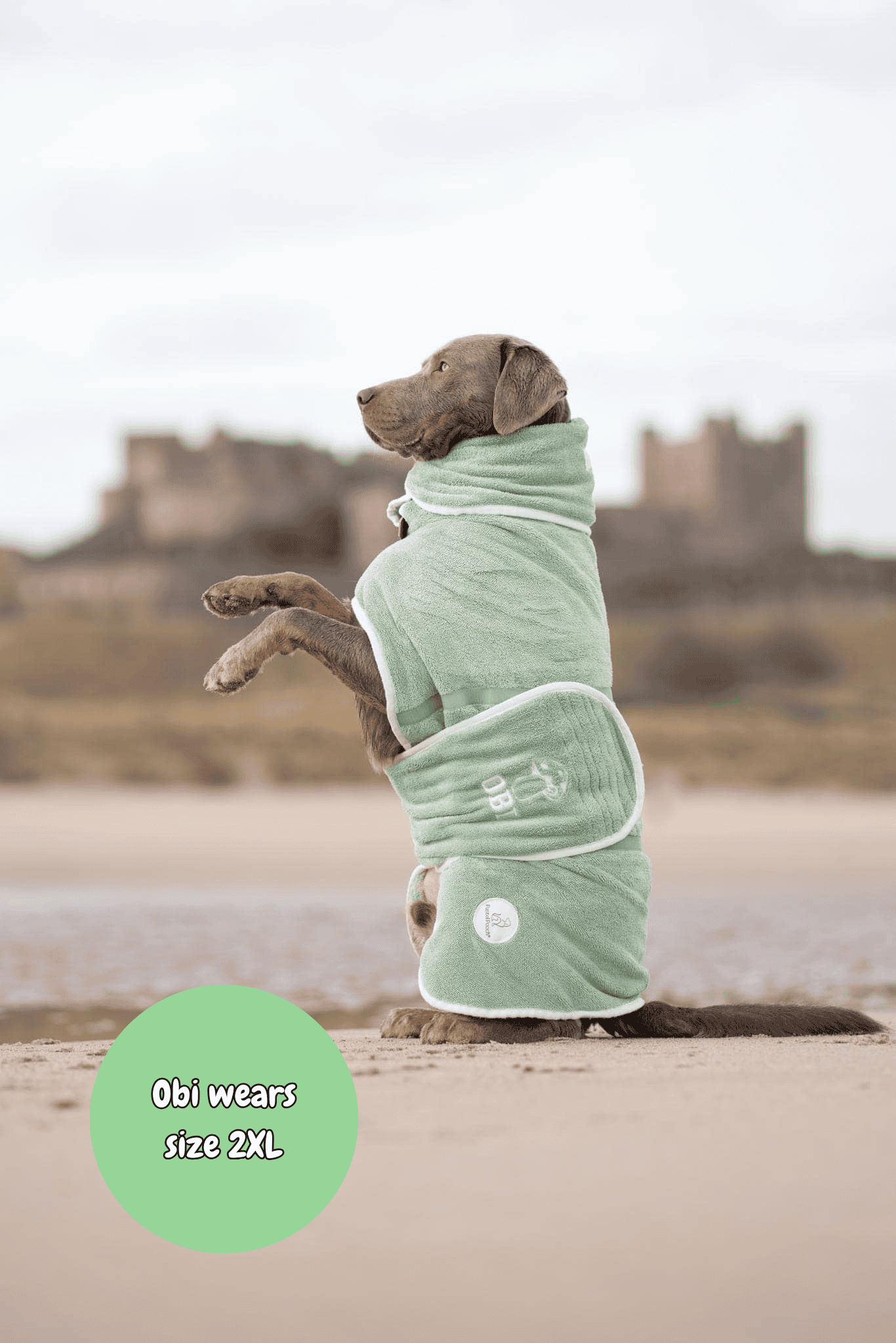 Dog wearing a green coat on a beach with a castle in the background