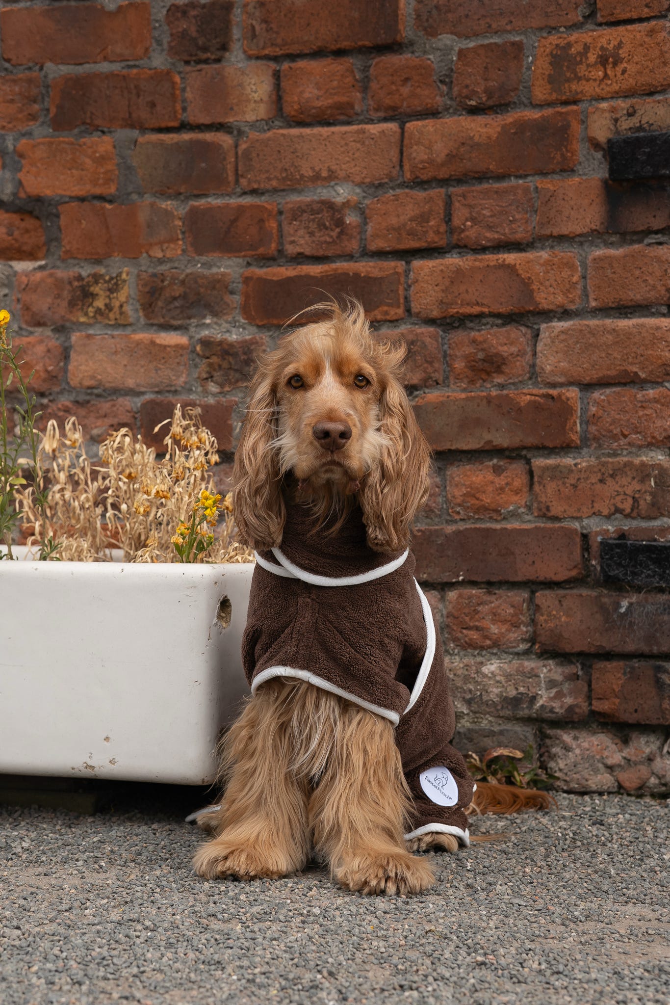 Pastel Pooch Boutique ® Dog Drying Coat