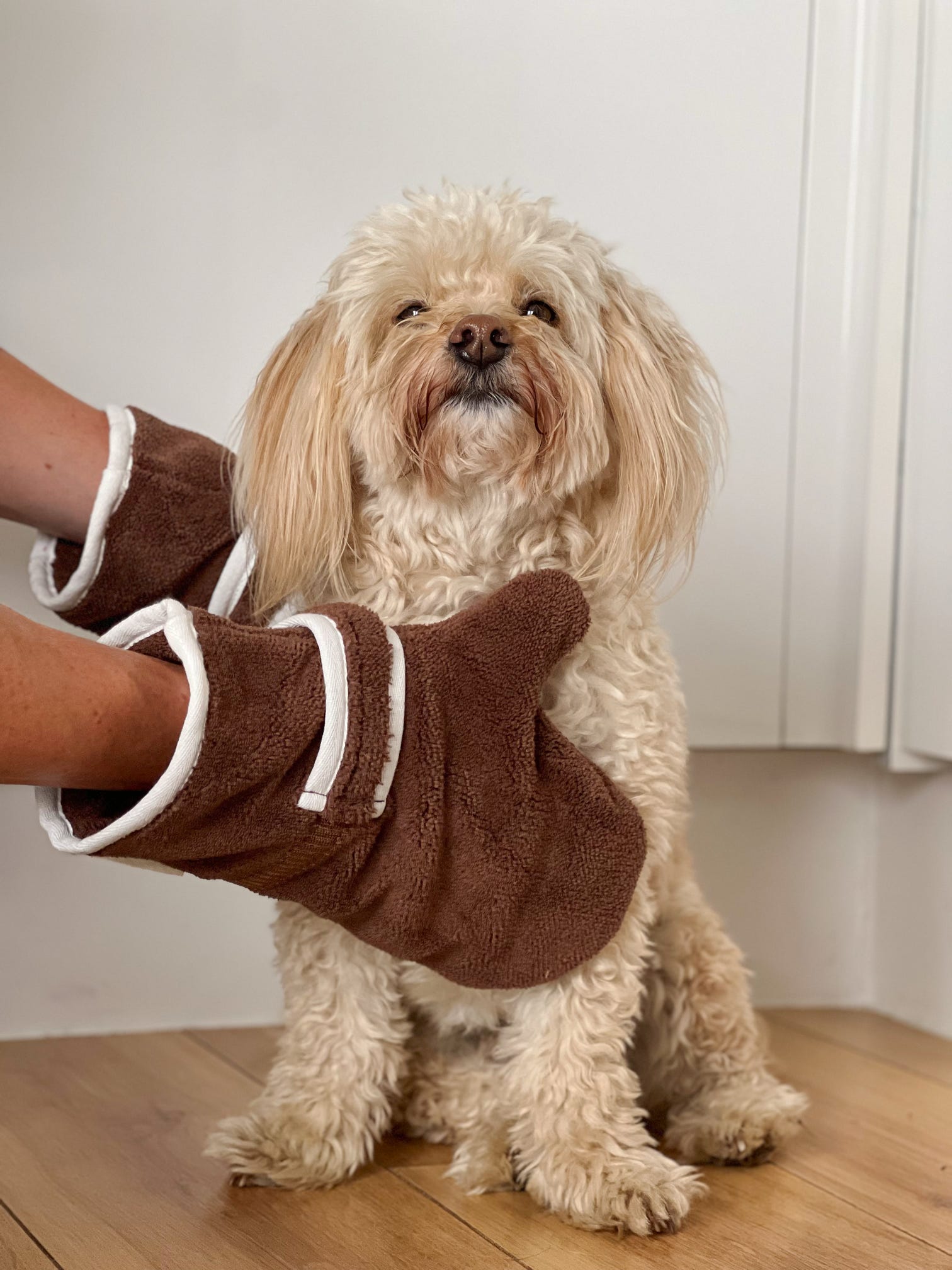 Dog Drying Gloves