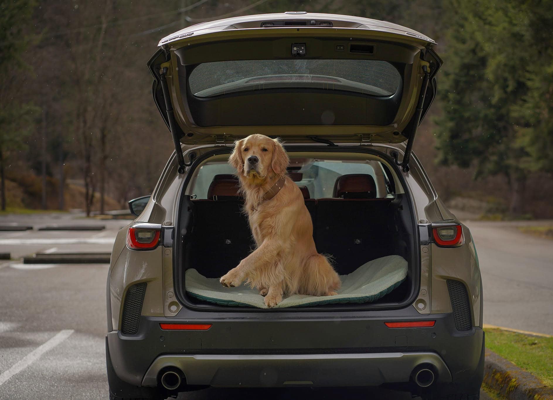 Pastel Pooch Boutique ® Luxe Quilted Bouclé Settle Mat