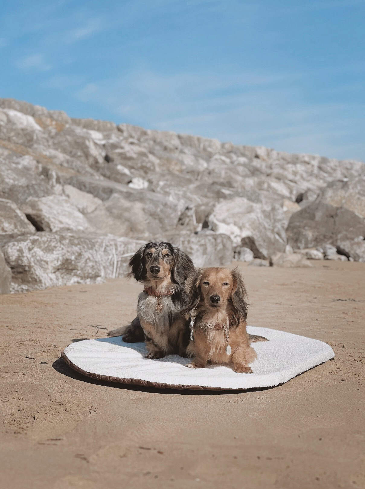 Pastel Pooch Boutique ® Luxe Quilted Bouclé Settle Mat
