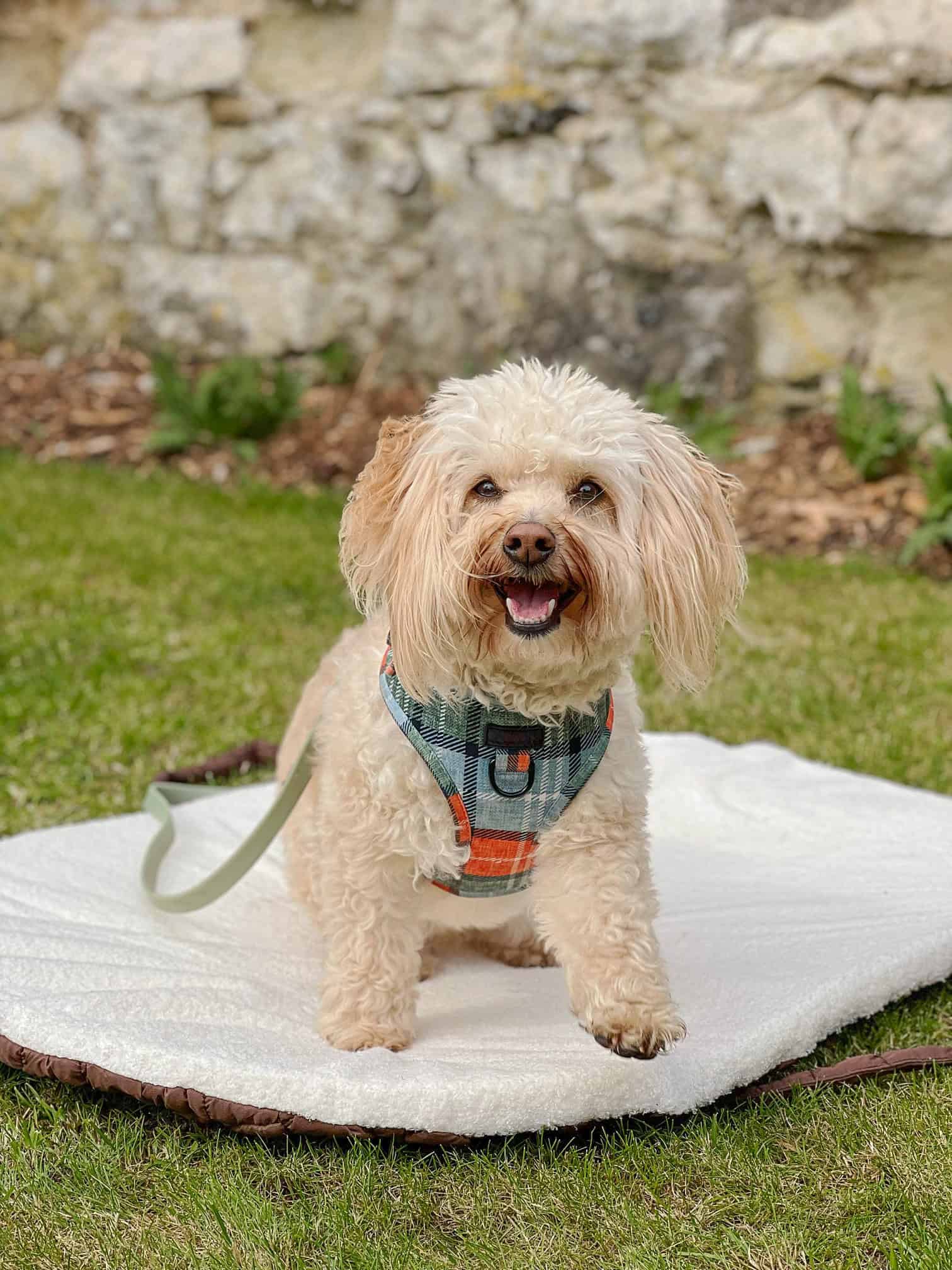 Pastel Pooch Boutique ® Luxe Quilted Bouclé Settle Mat