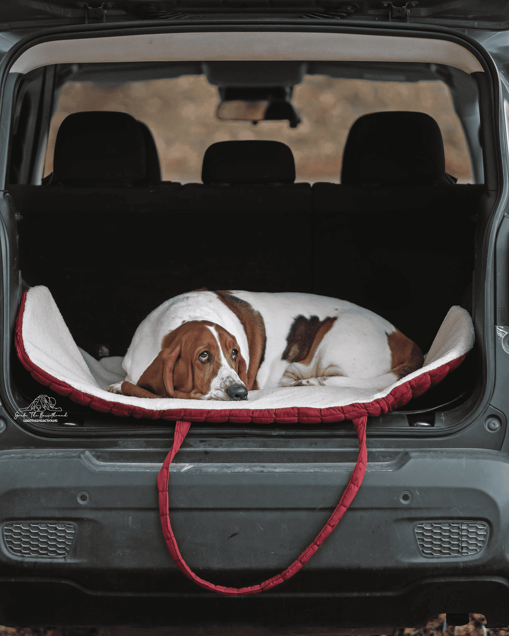 Pastel Pooch Boutique ® Luxe Quilted Bouclé Settle Mat