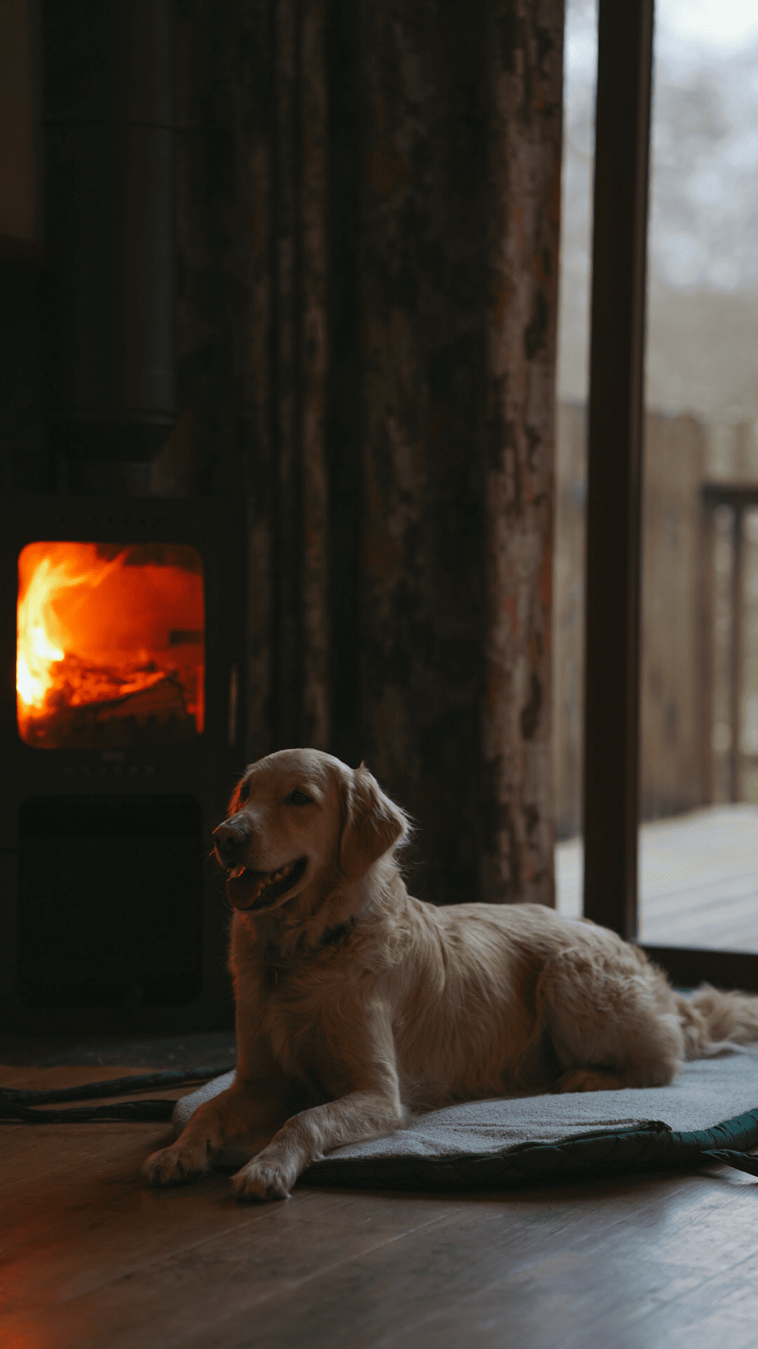 Pastel Pooch Boutique ® Luxe Quilted Bouclé Settle Mat