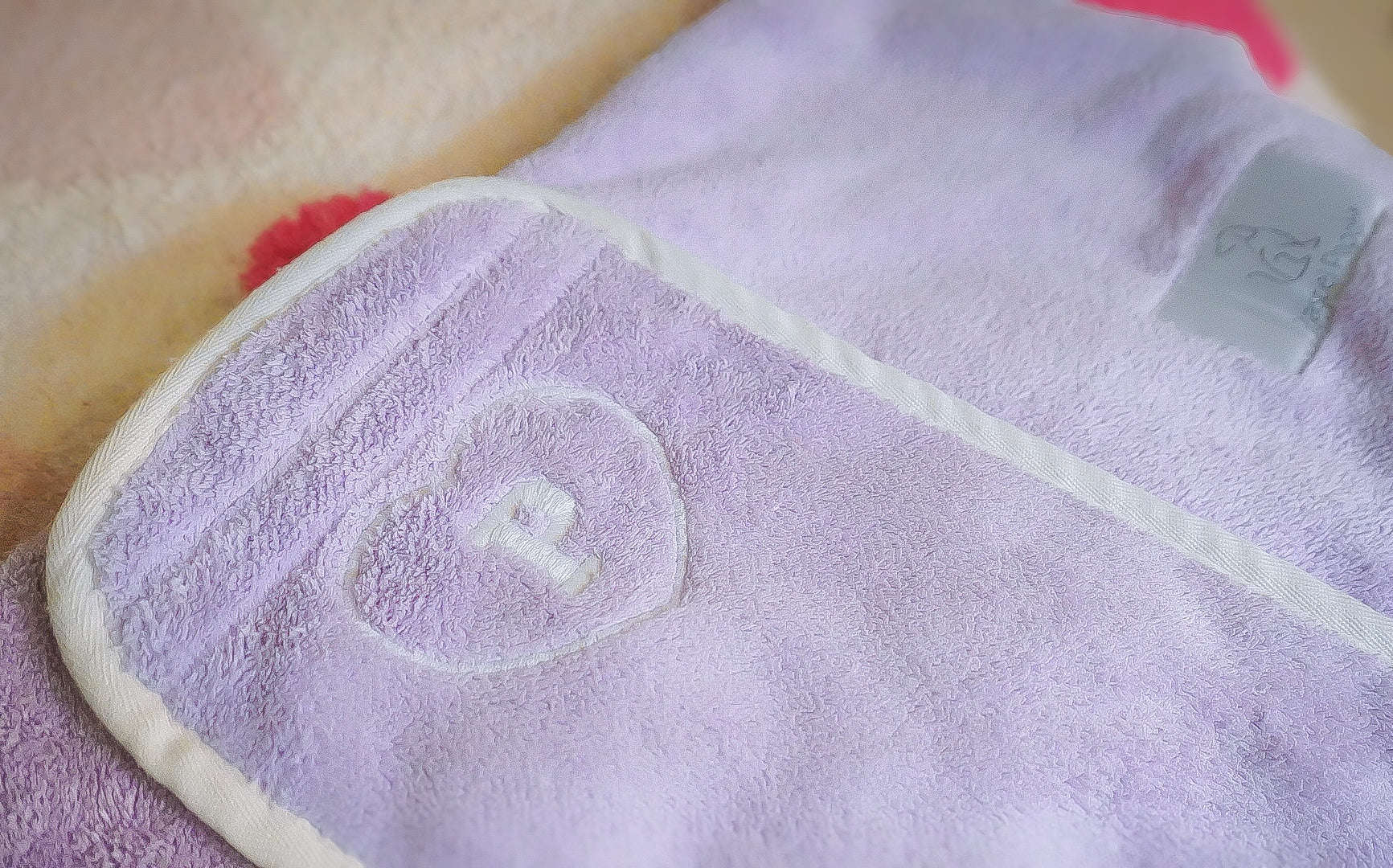Embroidered Dog Drying Coat