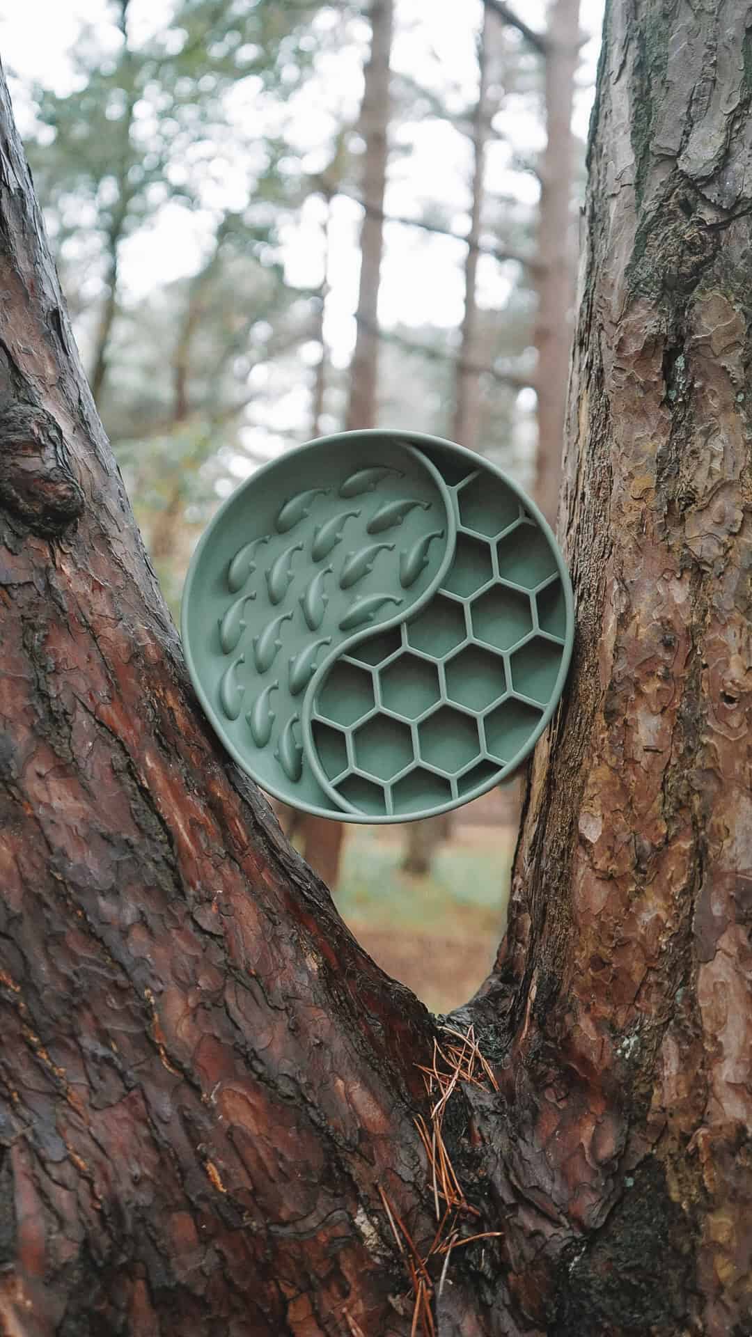 Slow Feeder