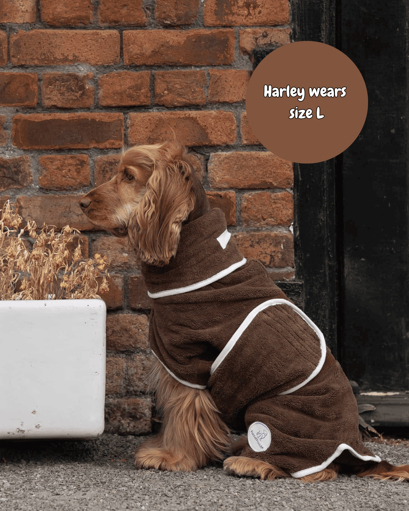 Dog wearing a brown robe in front of a brick wall.