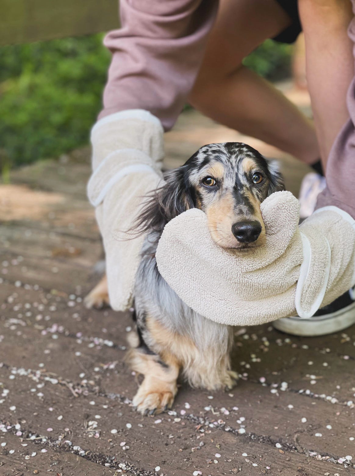 Dog Drying Gloves