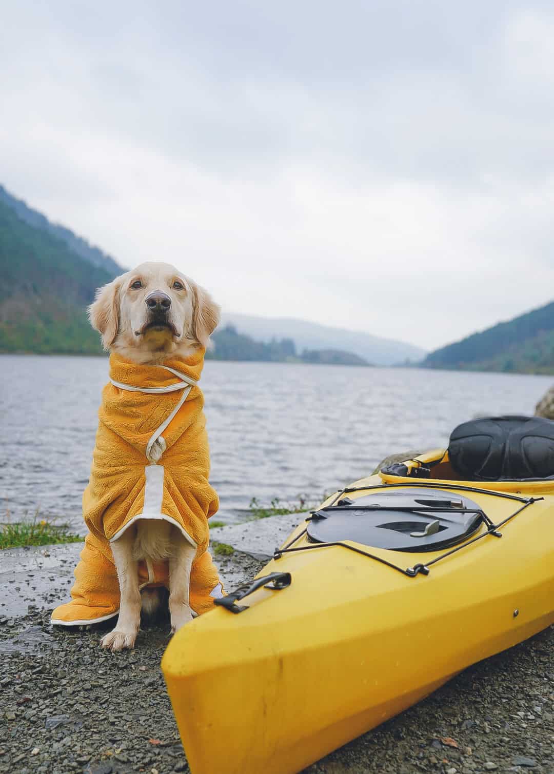 Yellow Drying Coat