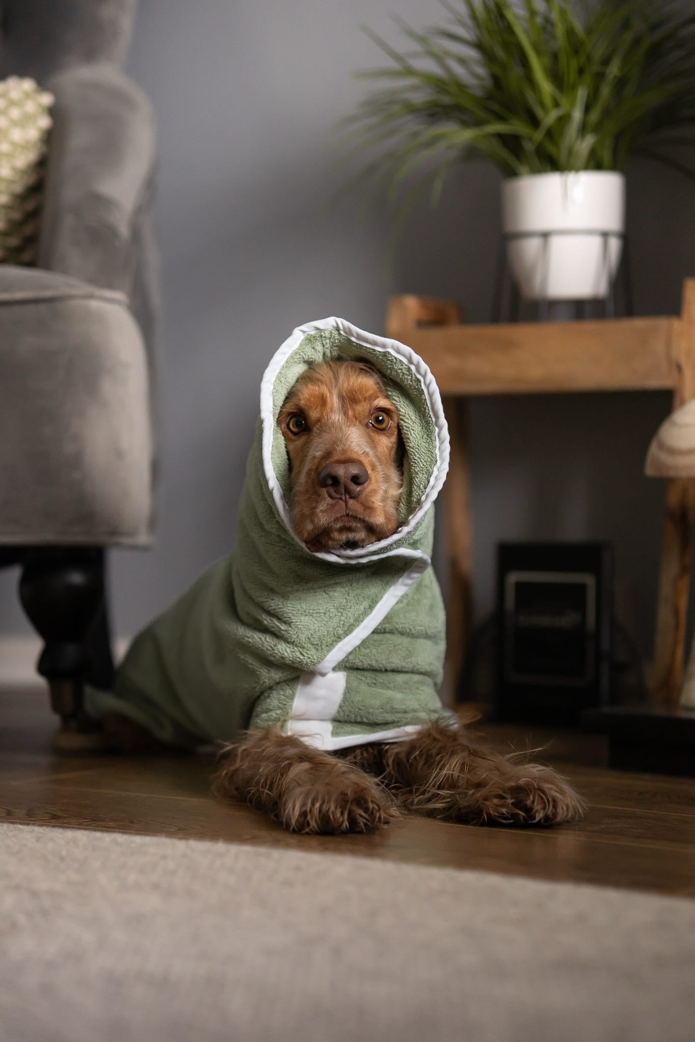 Pastel Pooch Boutique ® Dog Drying Coat (Gen 1 - The Original) Clearance Sale