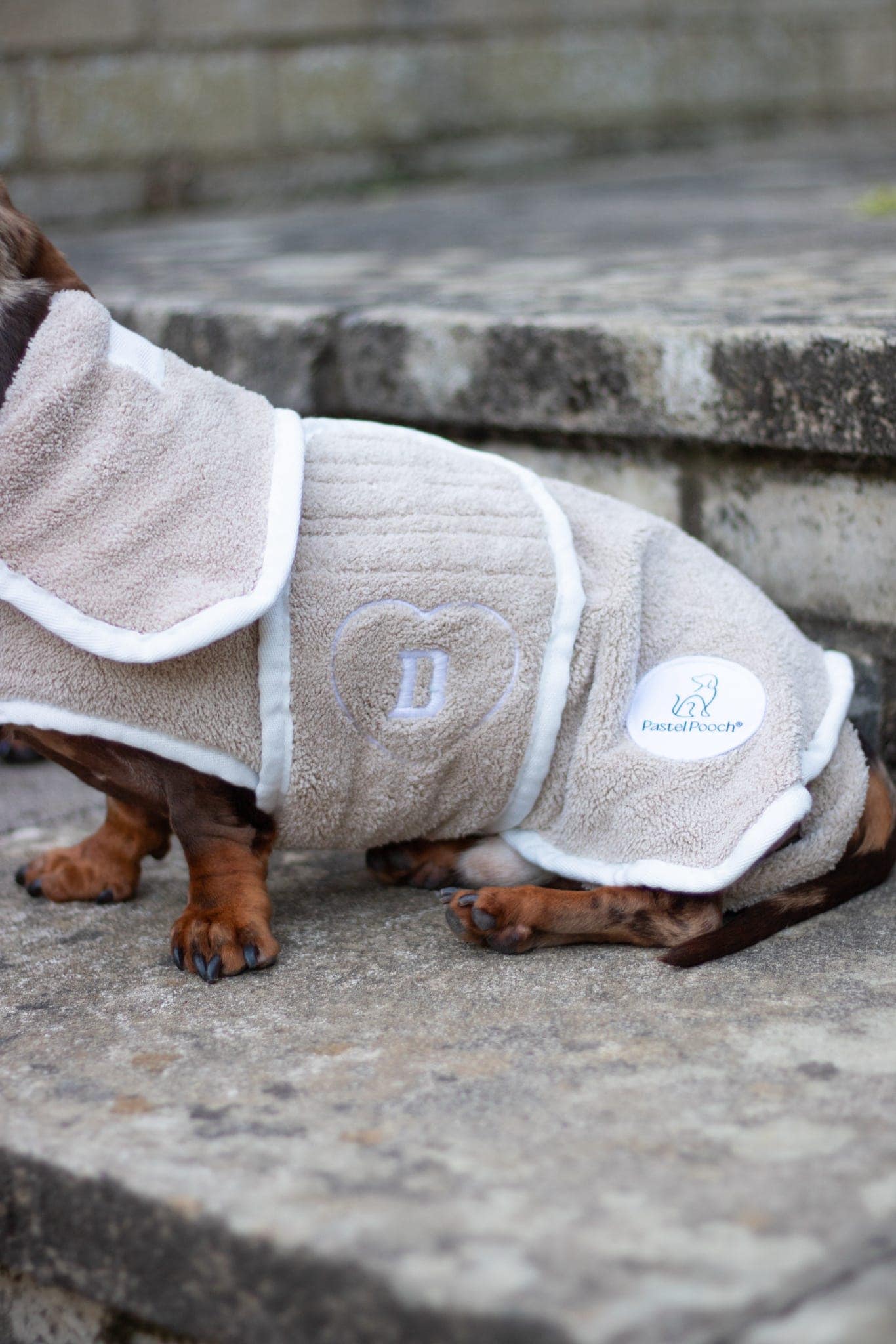 Personalised Dog Bathrobe