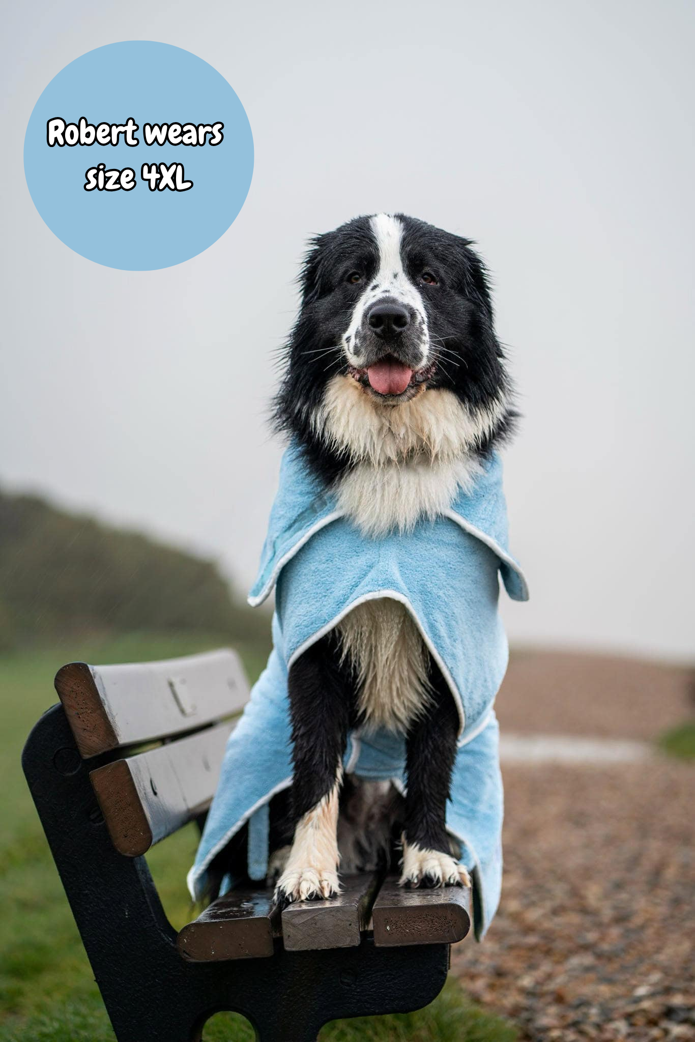 Pastel Pooch Boutique ® Dog Drying Coat