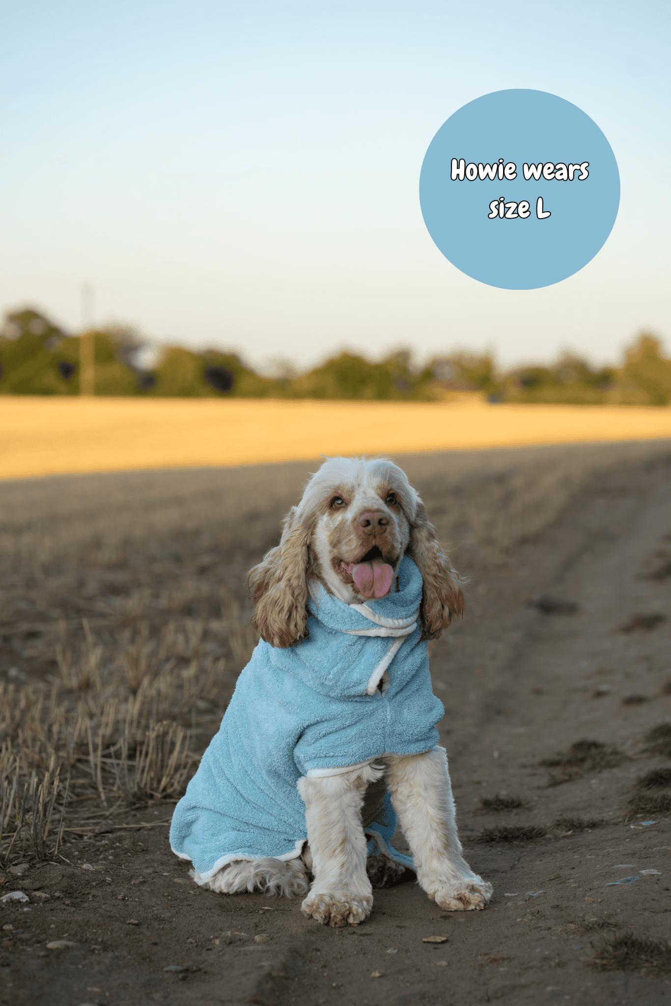 Pastel Pooch Boutique ® Dog Drying Coat (Gen 2- The Modified)