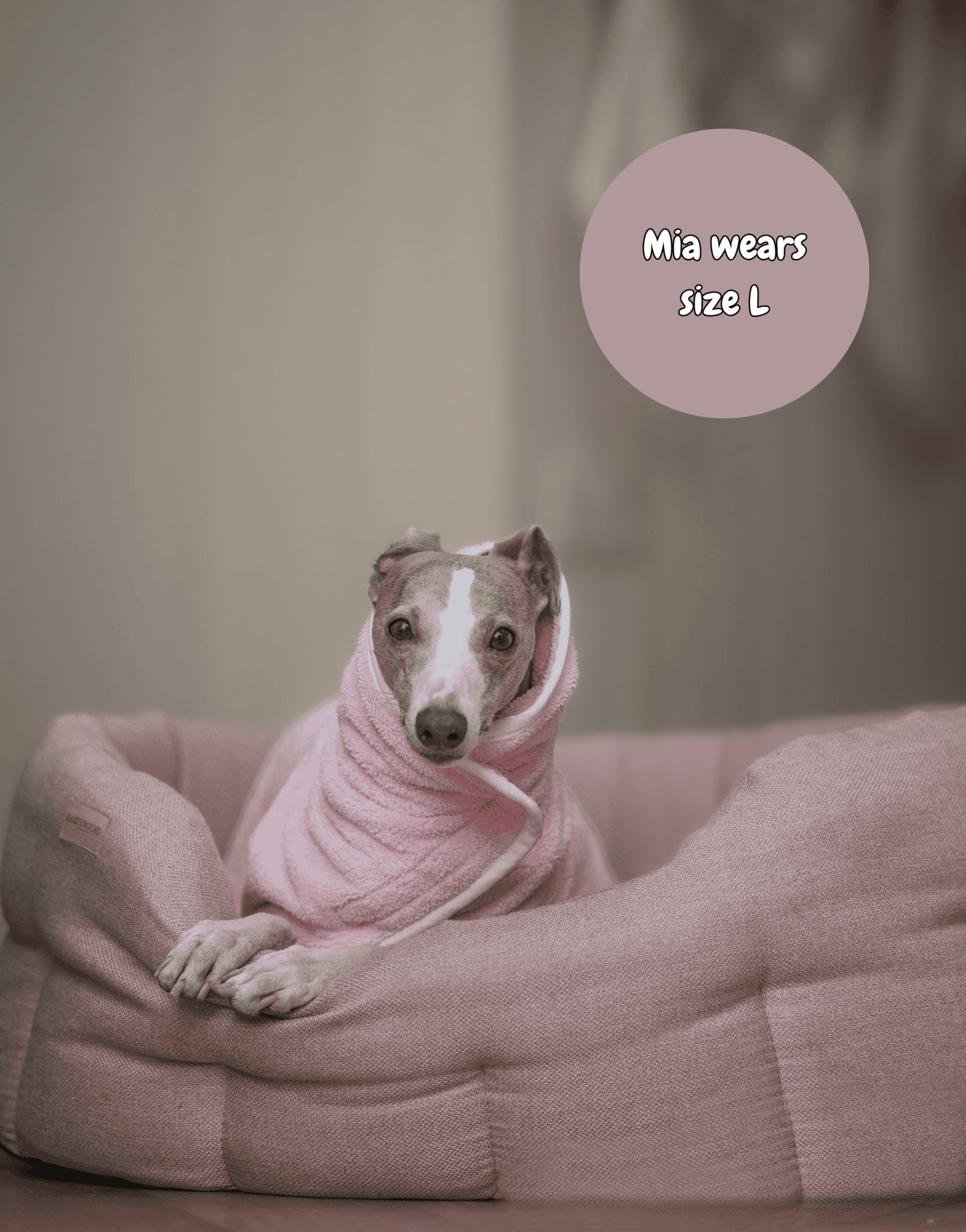 Dog wrapped in a pink towel sitting on a pink bed with a text bubble indicating &