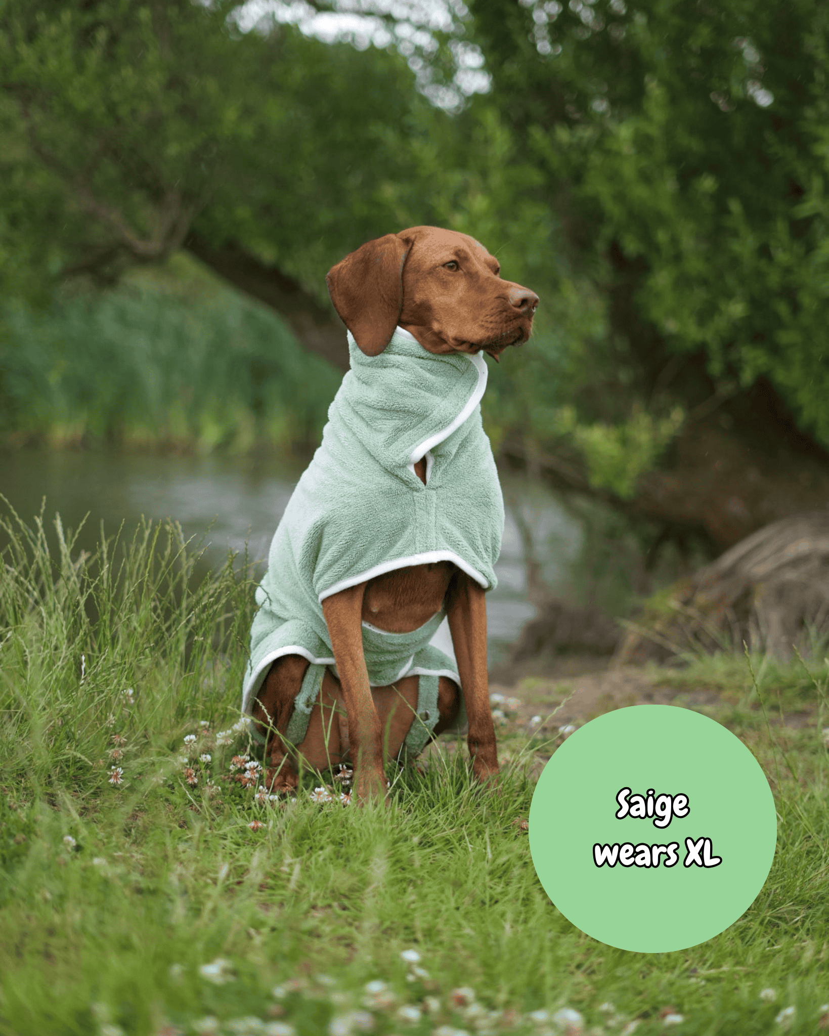Dog wearing a green towel by a river with &