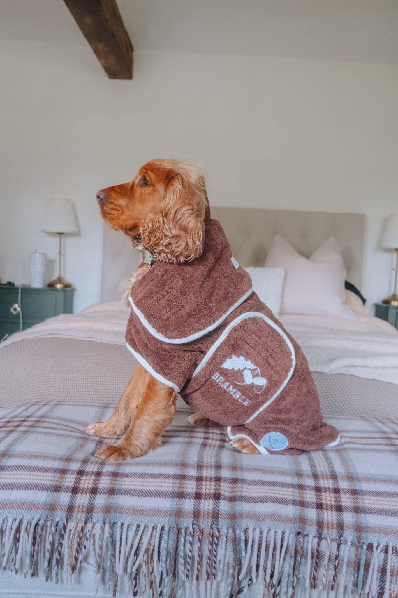 Pastel Pooch Boutique ® Dog Drying Coat (Gen 2- The Modified)