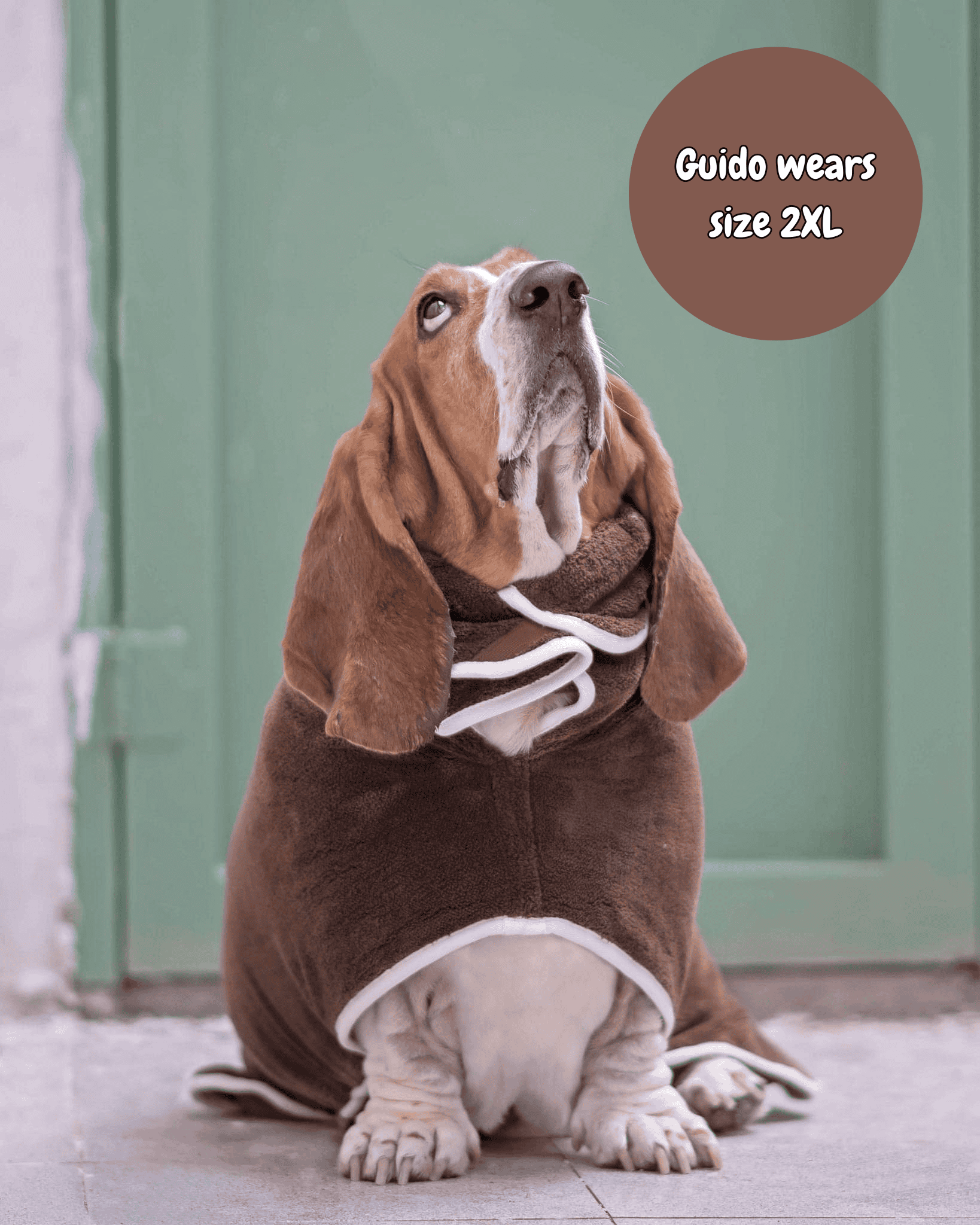 Dog wearing a brown robe with a label indicating size 2XL, sitting on a tiled floor.