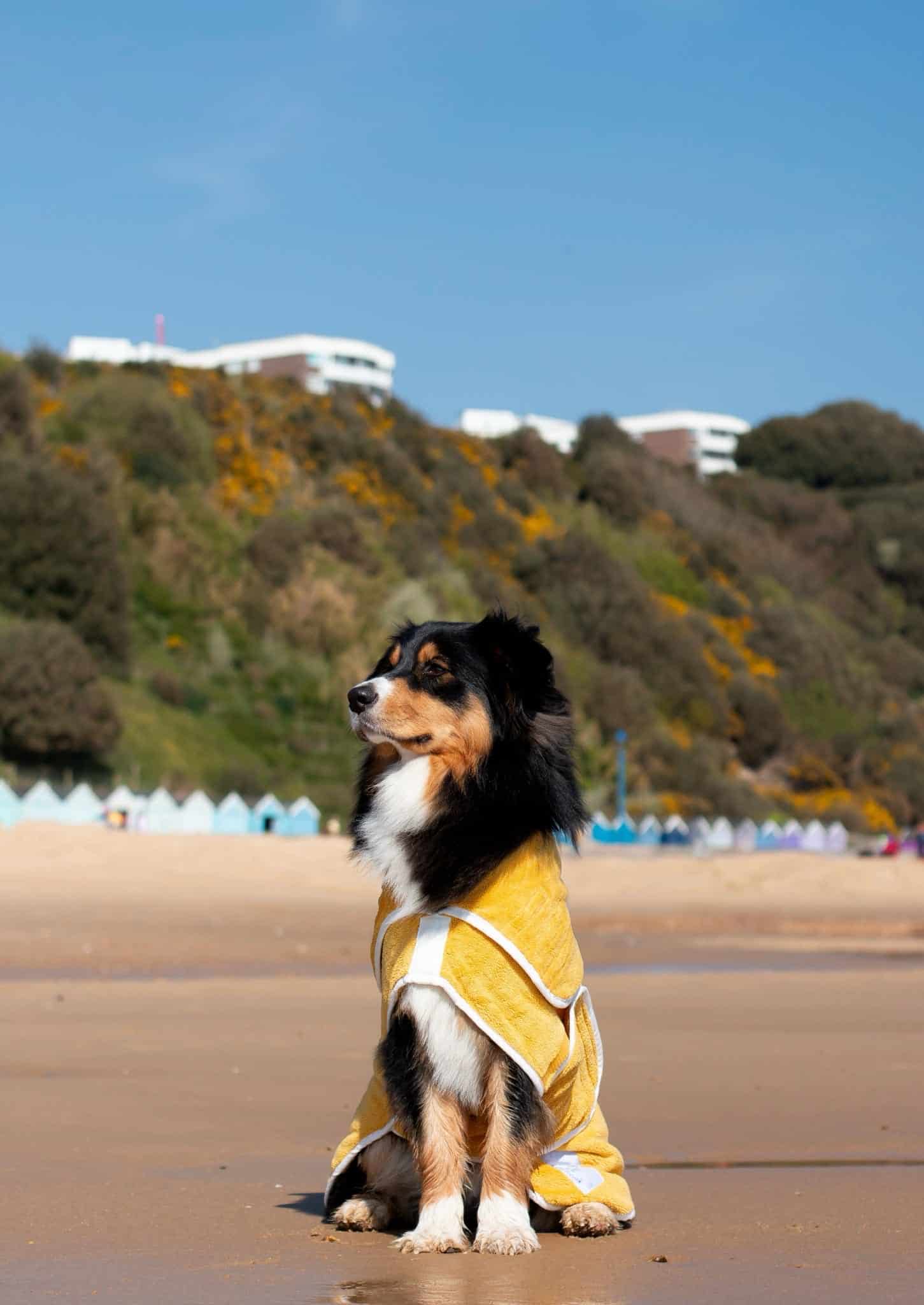 Pastel Pooch Boutique ® Dog Drying Coat (Gen 1 - The Original) Clearance Sale