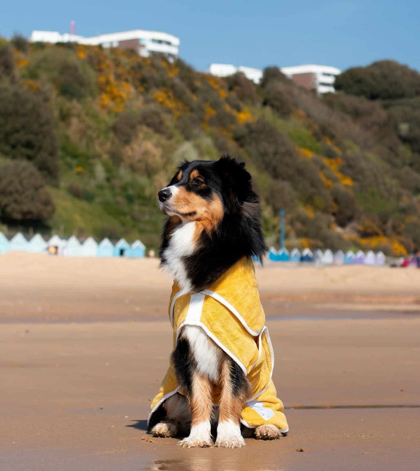 Pastel Pooch Boutique ® Dog Drying Coat (Gen 1 - The Original) Clearance Sale