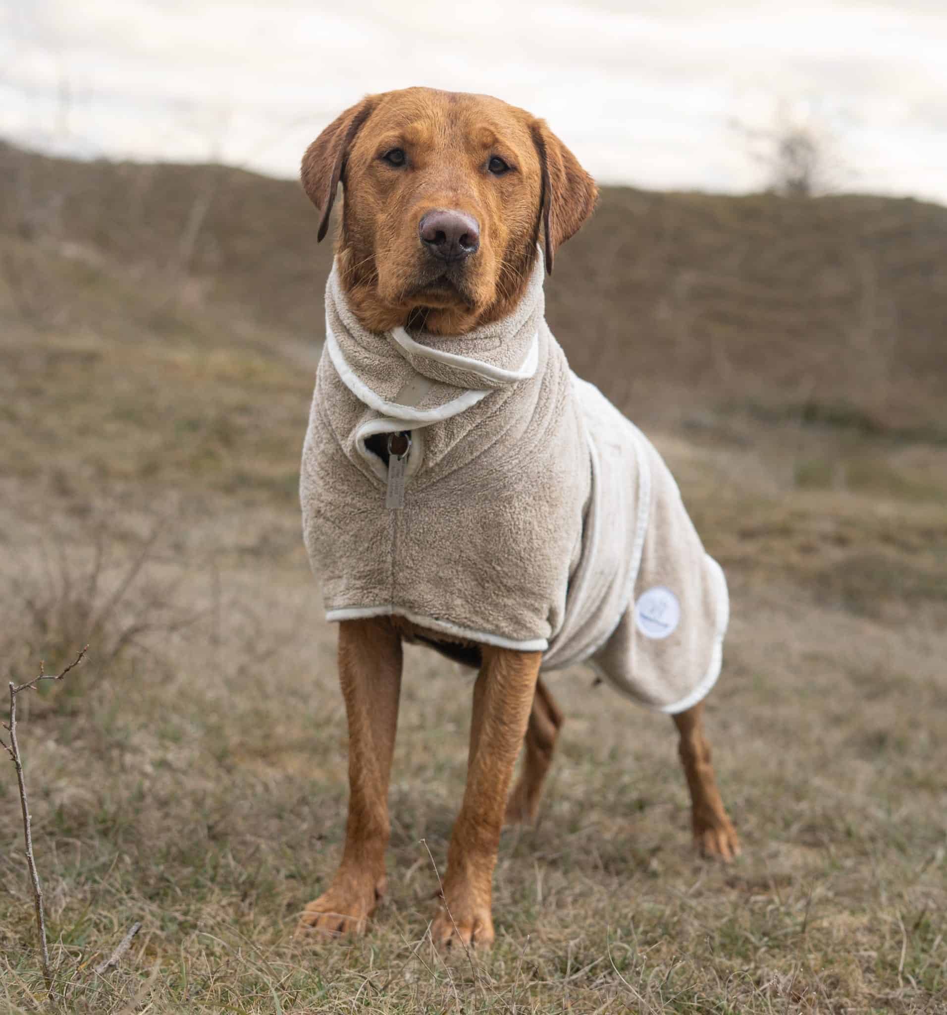 Pastel Pooch® Dog Drying Coat (Gen 2- The Modified)
