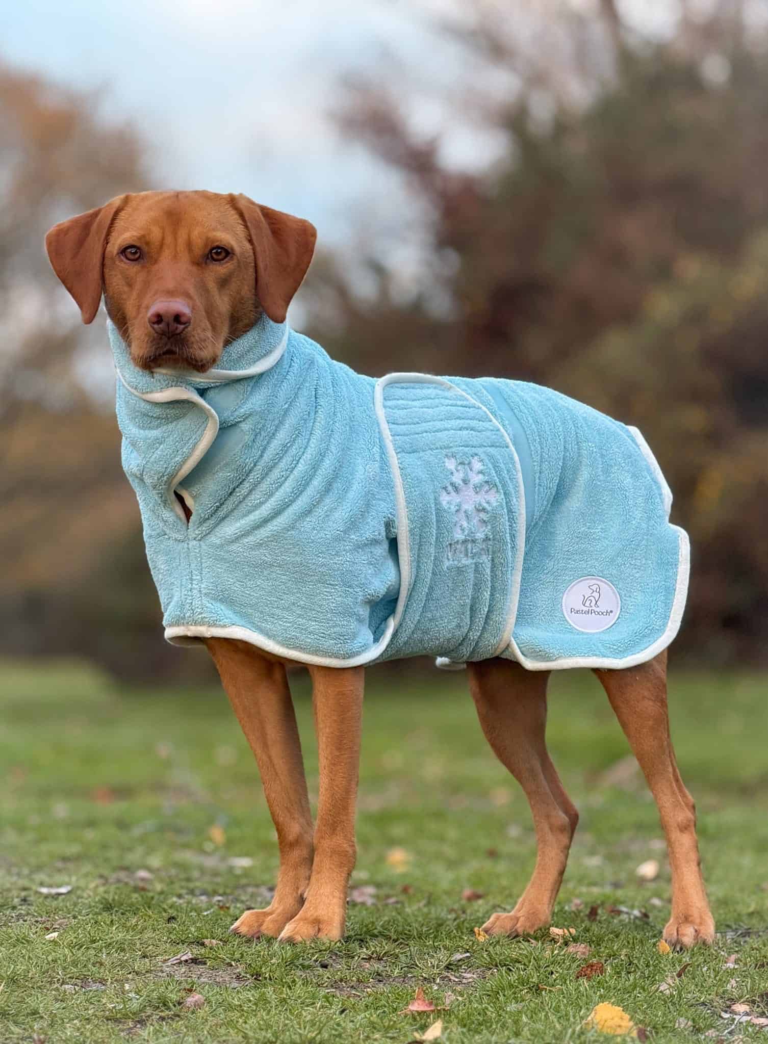 Pastel Pooch Boutique ® Dog Drying Coat