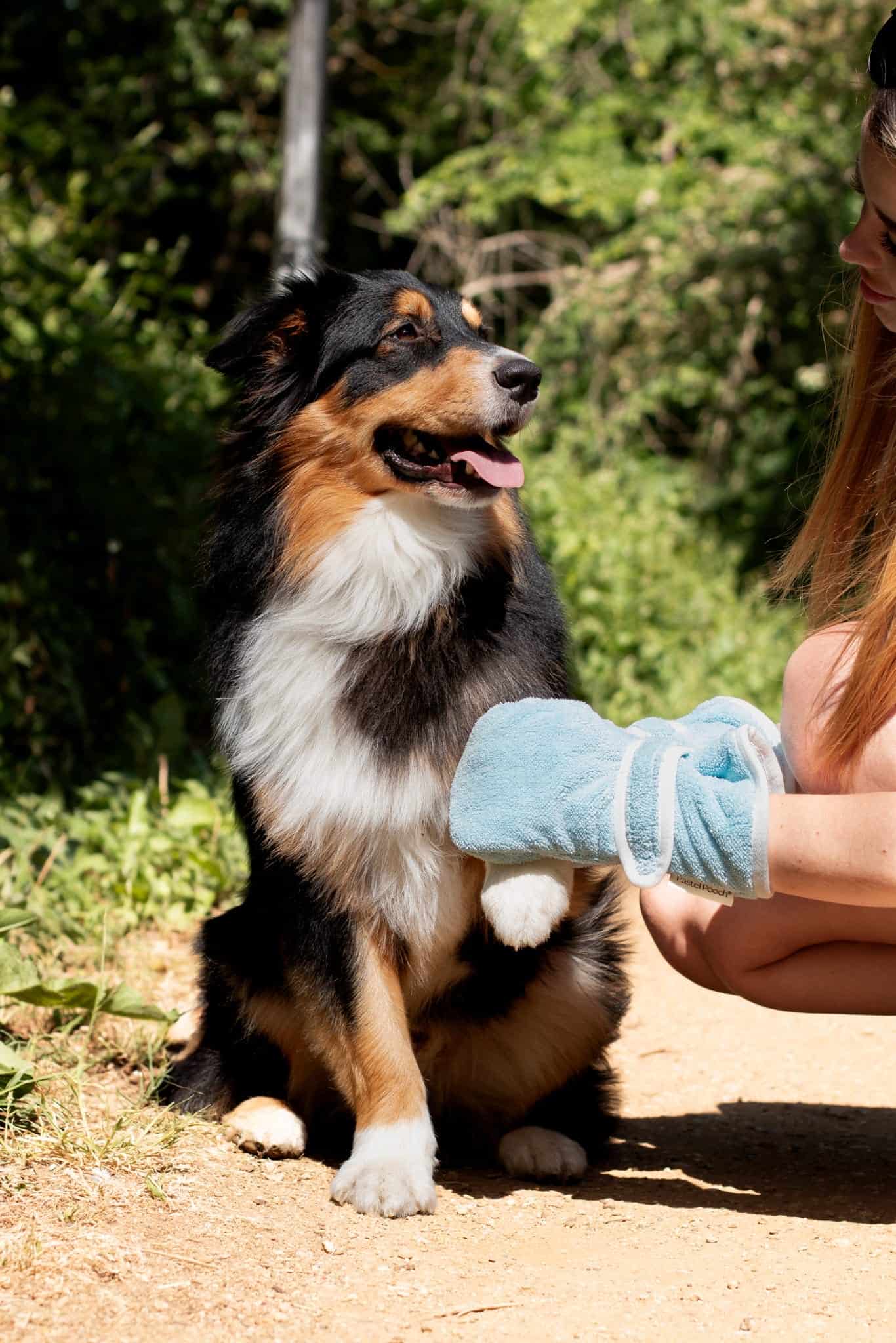 Dog Drying Gloves