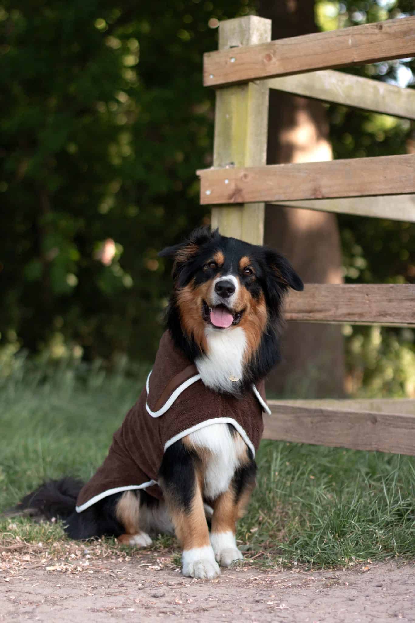 Pastel Pooch® Dog Drying Coat (Gen 2- The Modified)