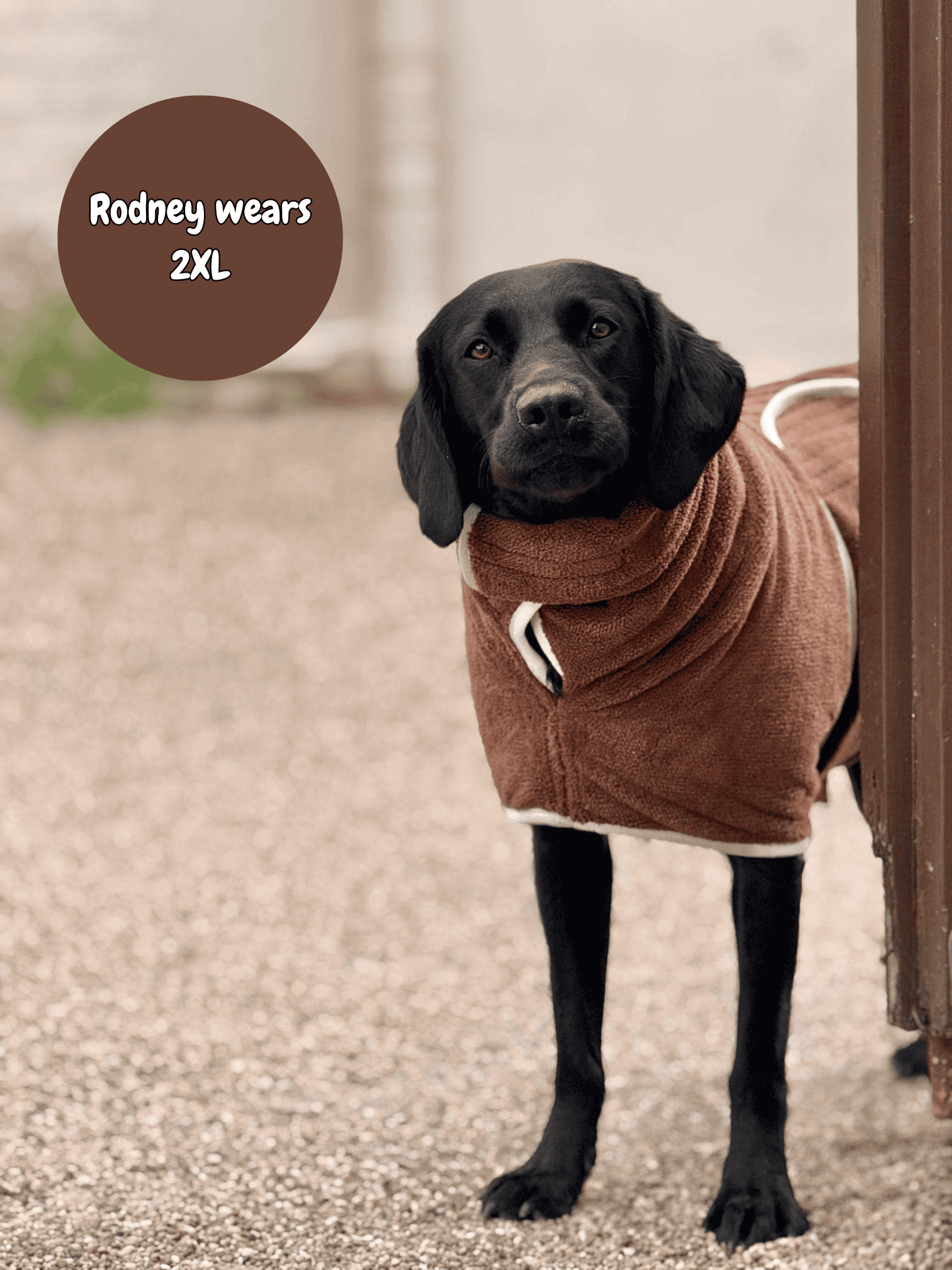 Pastel Pooch Boutique ® Dog Drying Coat (Gen 2- The Modified)