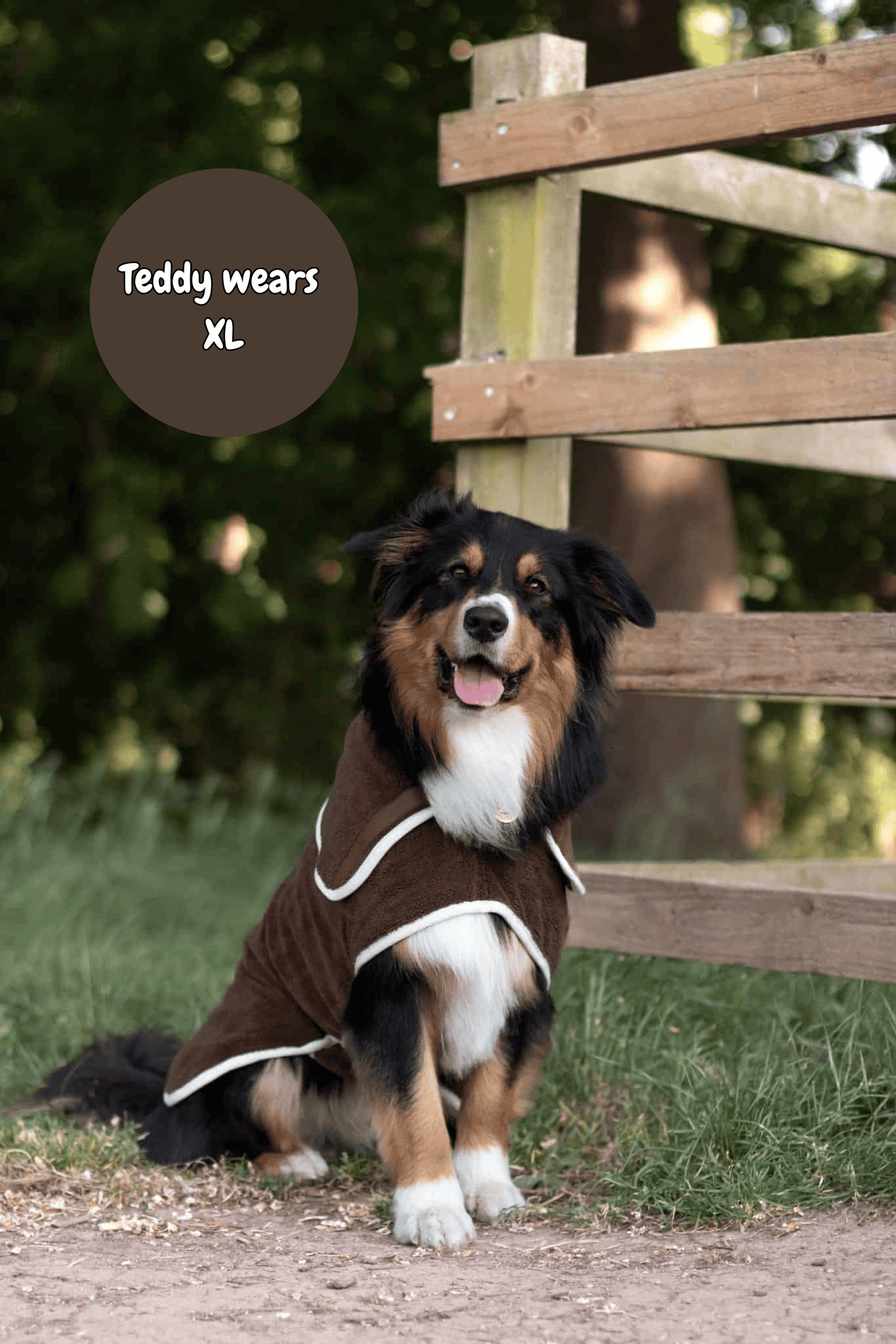Dog wearing a brown coat with text &