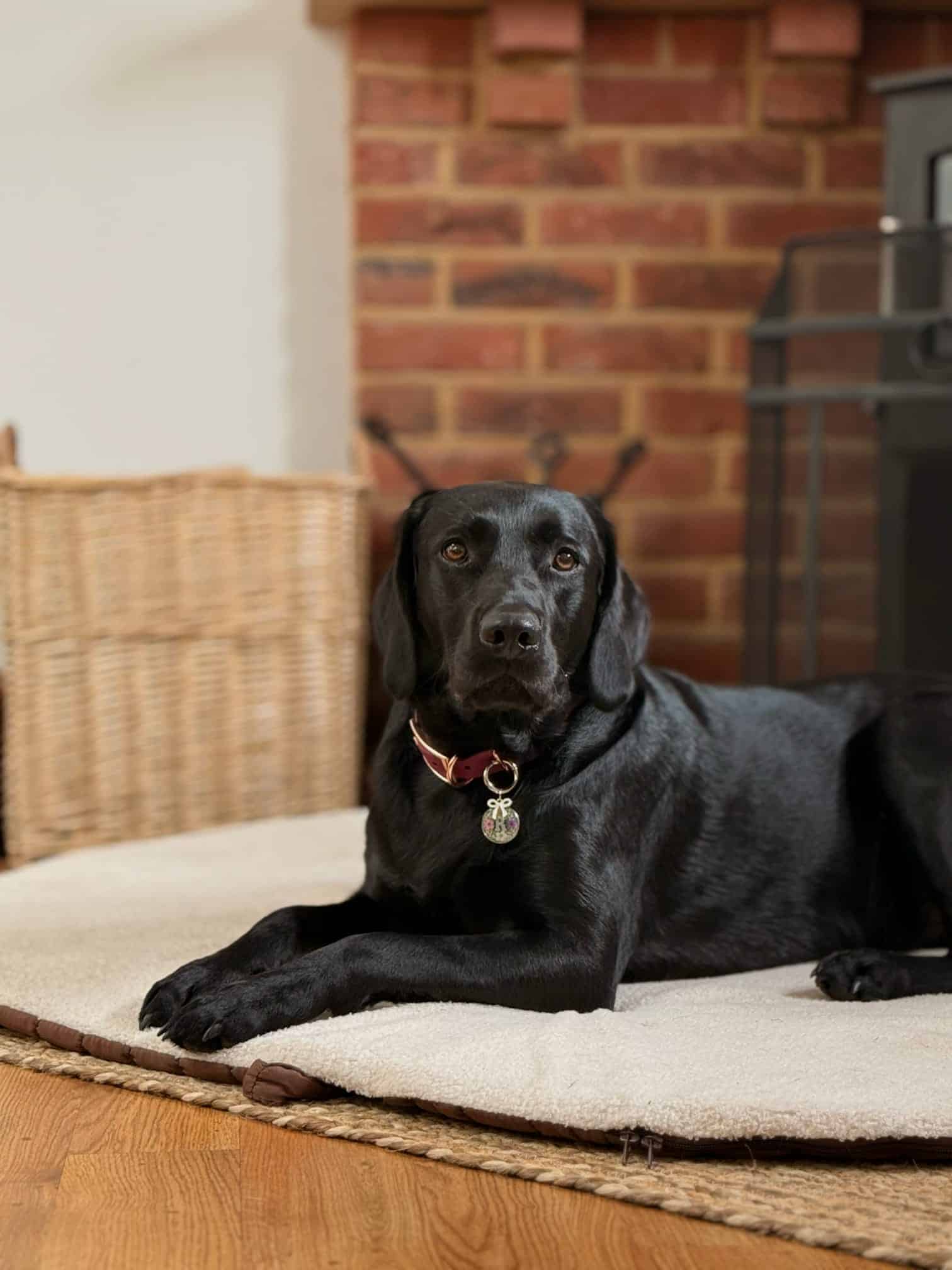 Pastel Pooch Boutique ® Luxe Quilted Bouclé Settle Mat