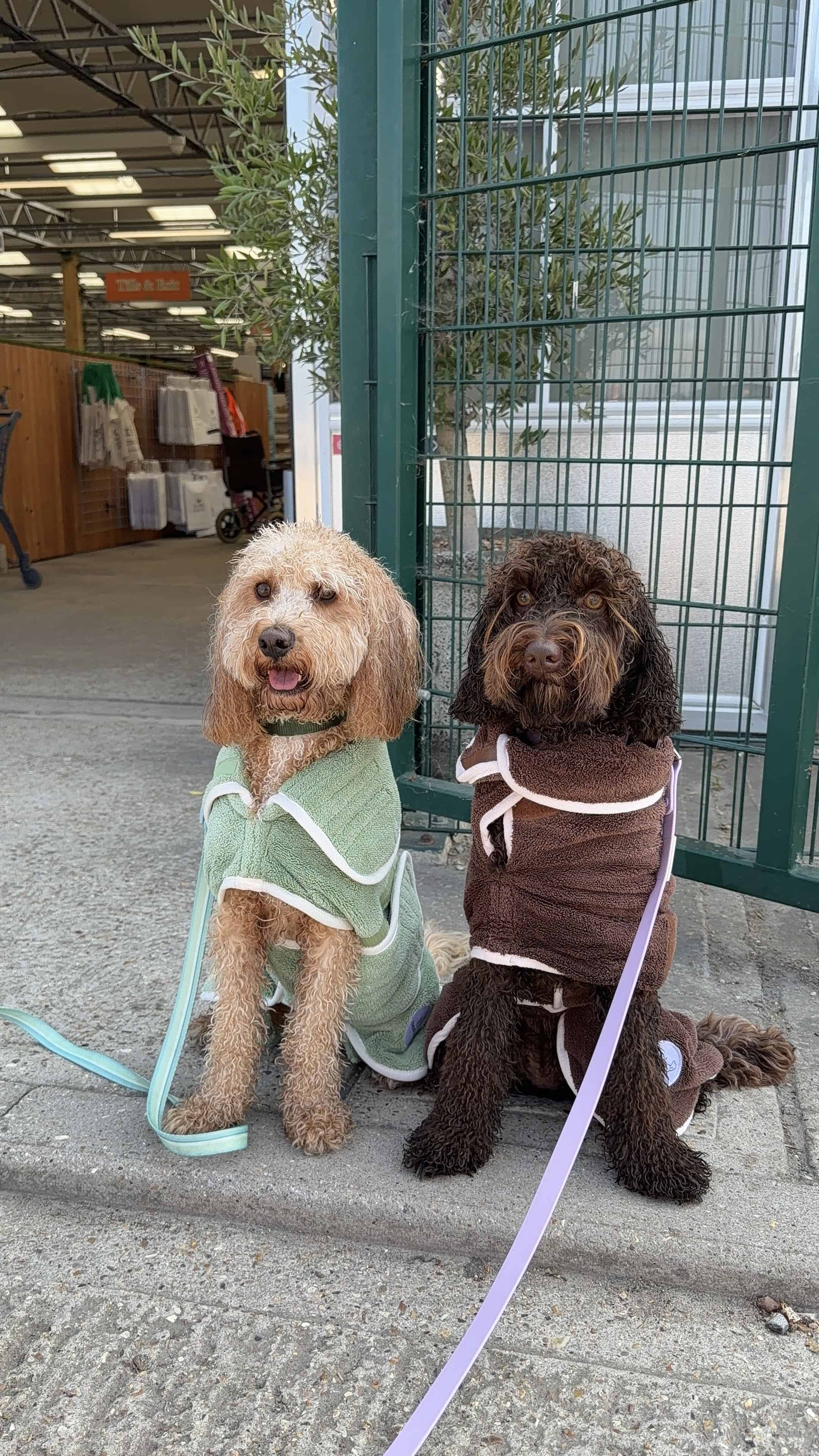 Pastel Pooch Boutique ® Dog Drying Coat