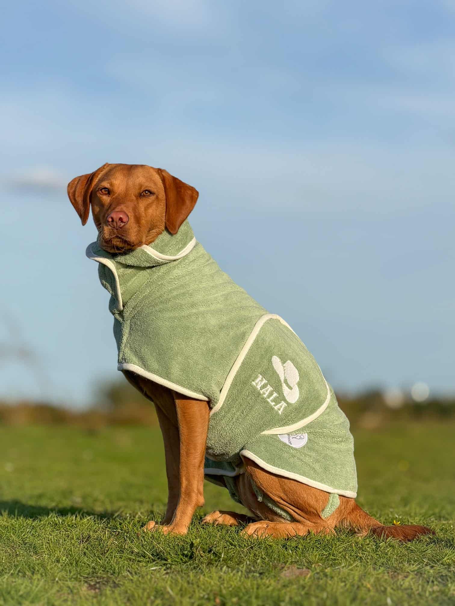 Pastel Pooch Boutique ® Dog Drying Coat (Gen 2- The Modified)