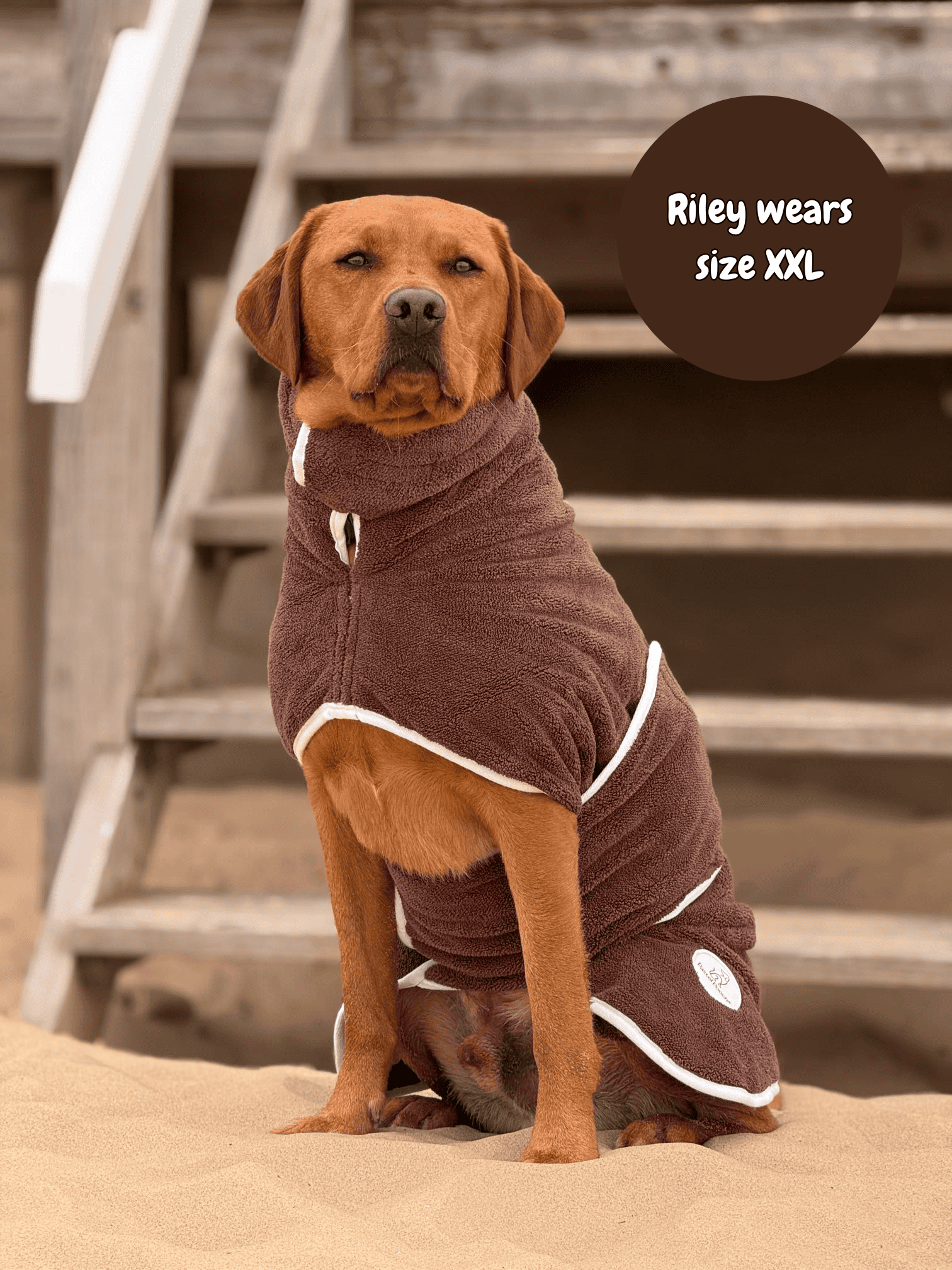Dog wearing a brown robe with text indicating size XXL, standing on sand with wooden steps in the background.