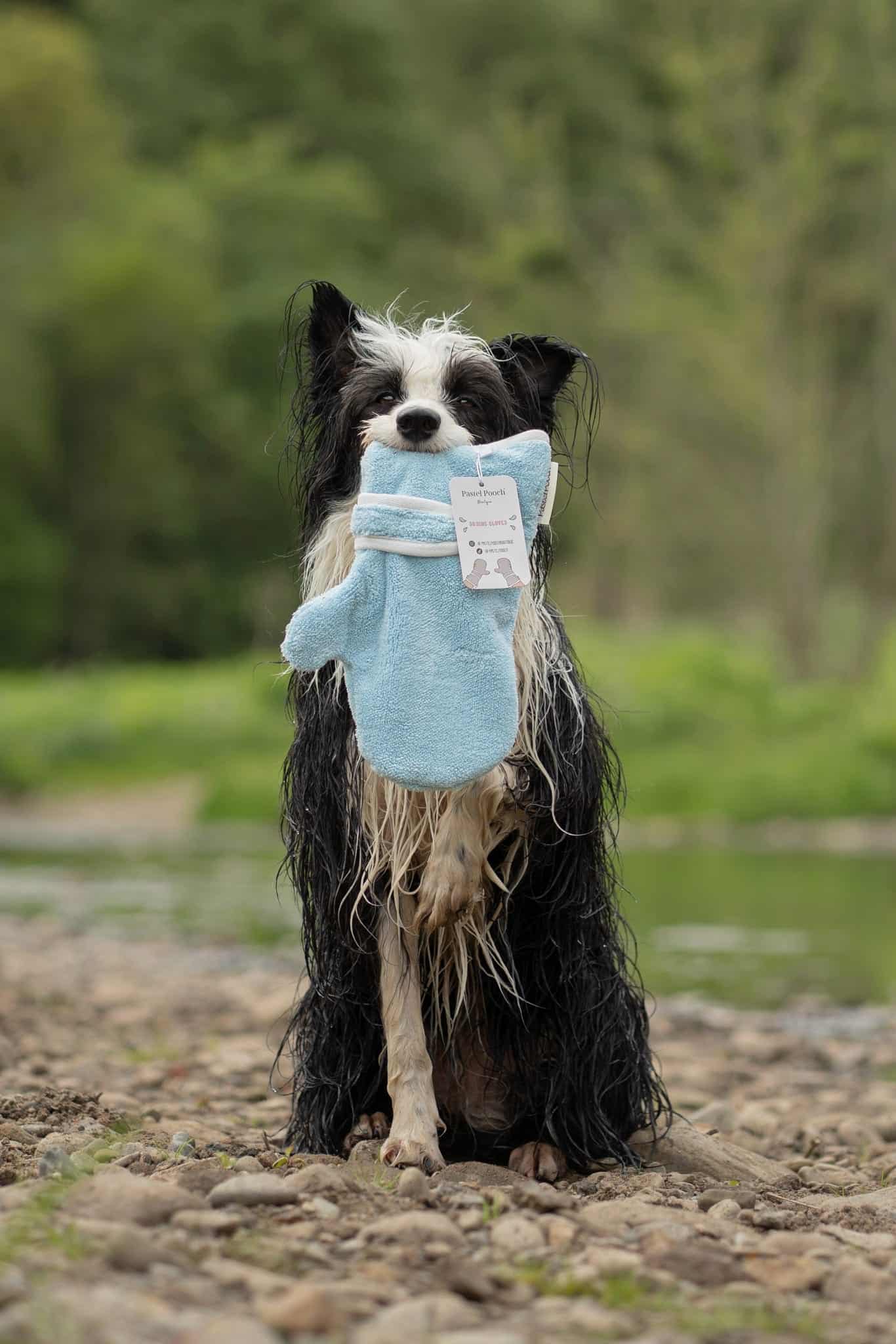 Dog Drying Gloves