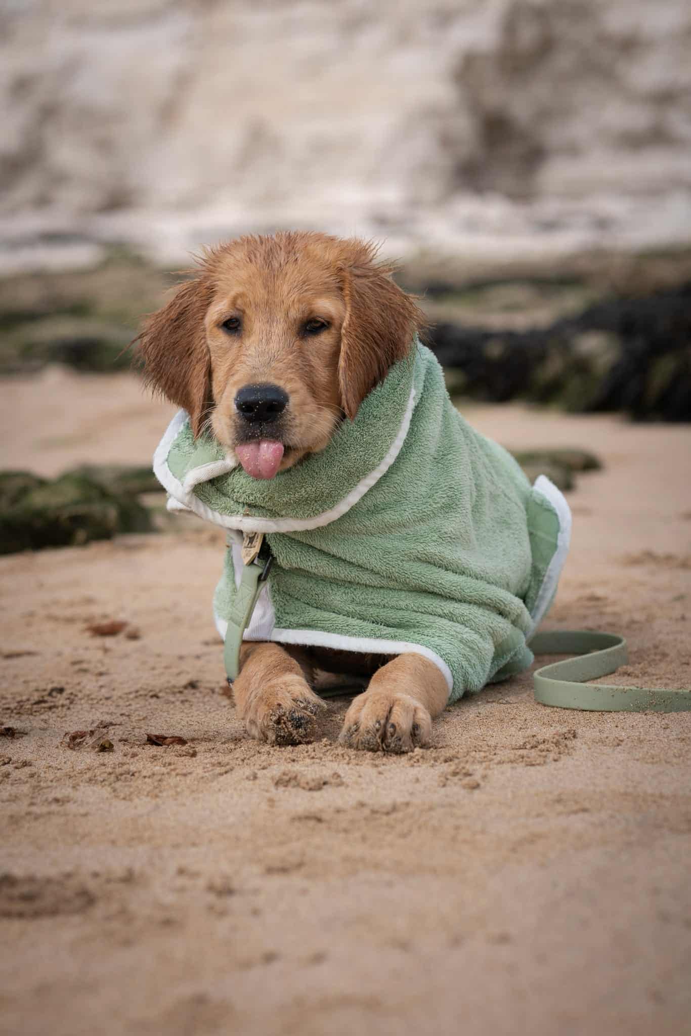 Pastel Pooch Boutique ® Dog Drying Coat (Gen 1 - The Original) Clearance Sale