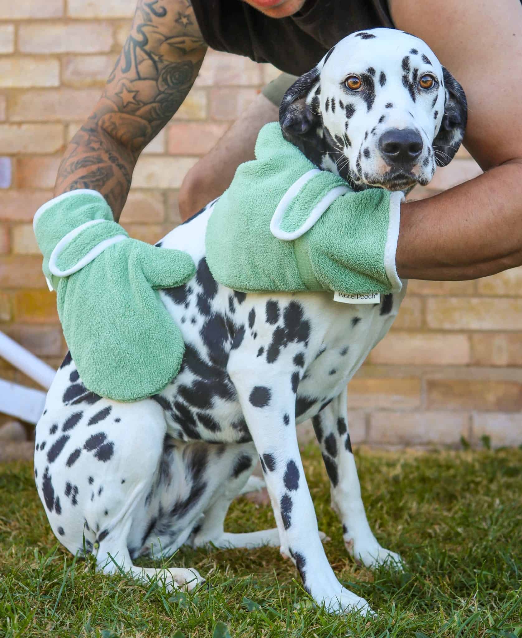 Dog Drying Gloves