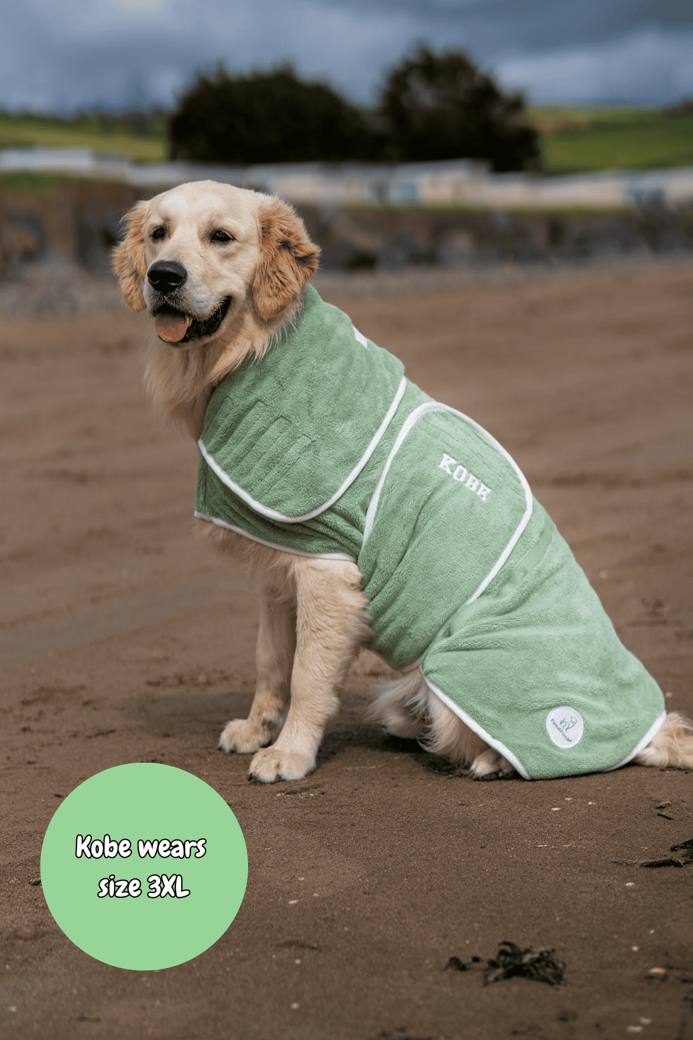 Dog wearing a green coat on a beach with text indicating size 3XL.