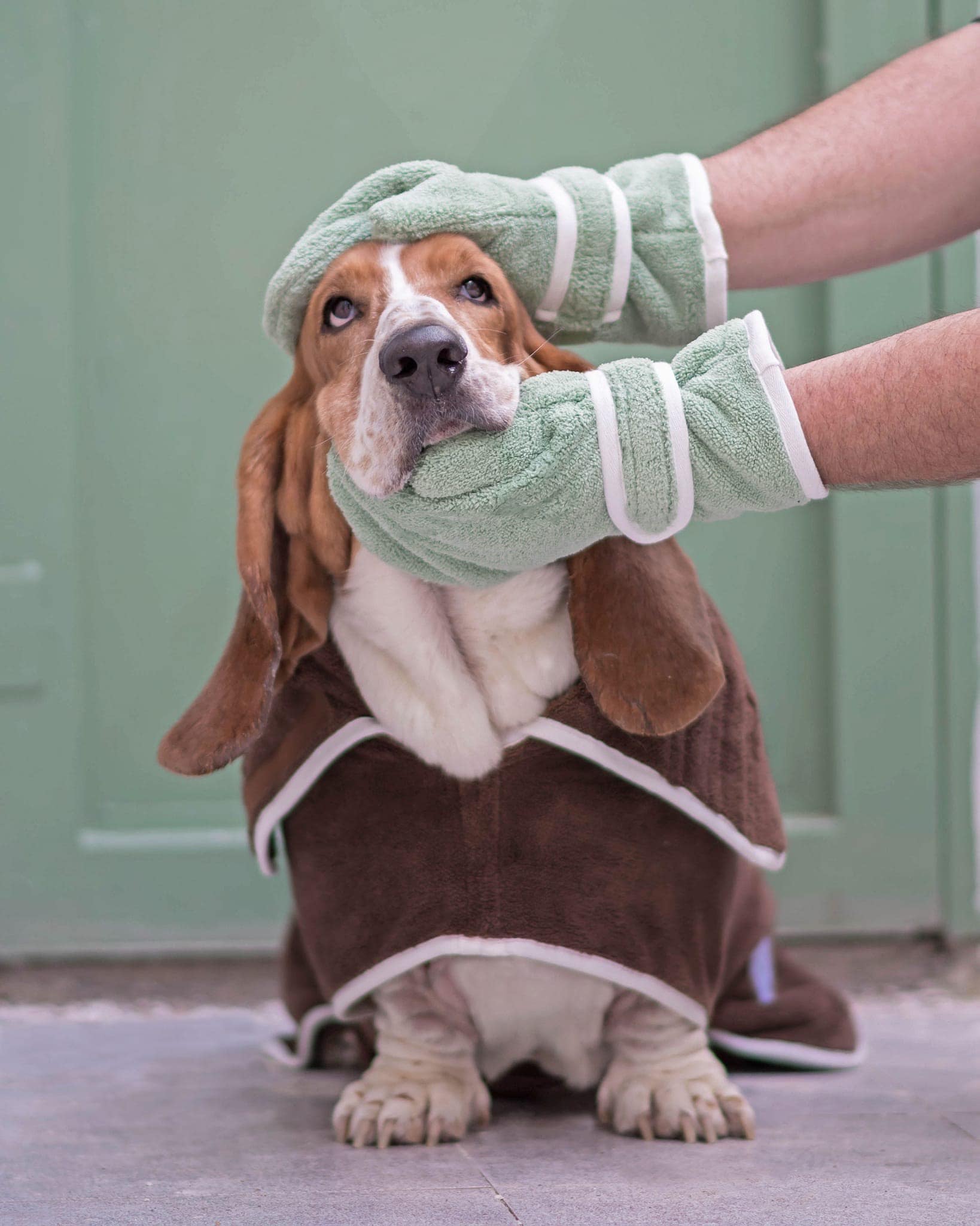 Dog Drying Gloves