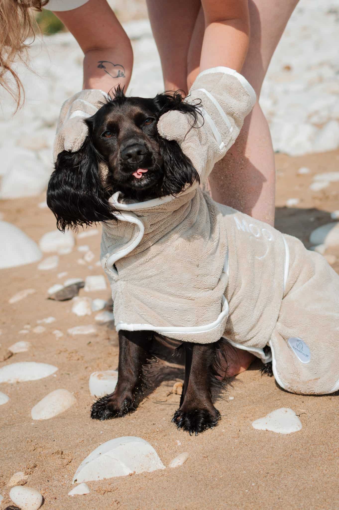 Dog wearing a beige bathrobe on a sandy beach