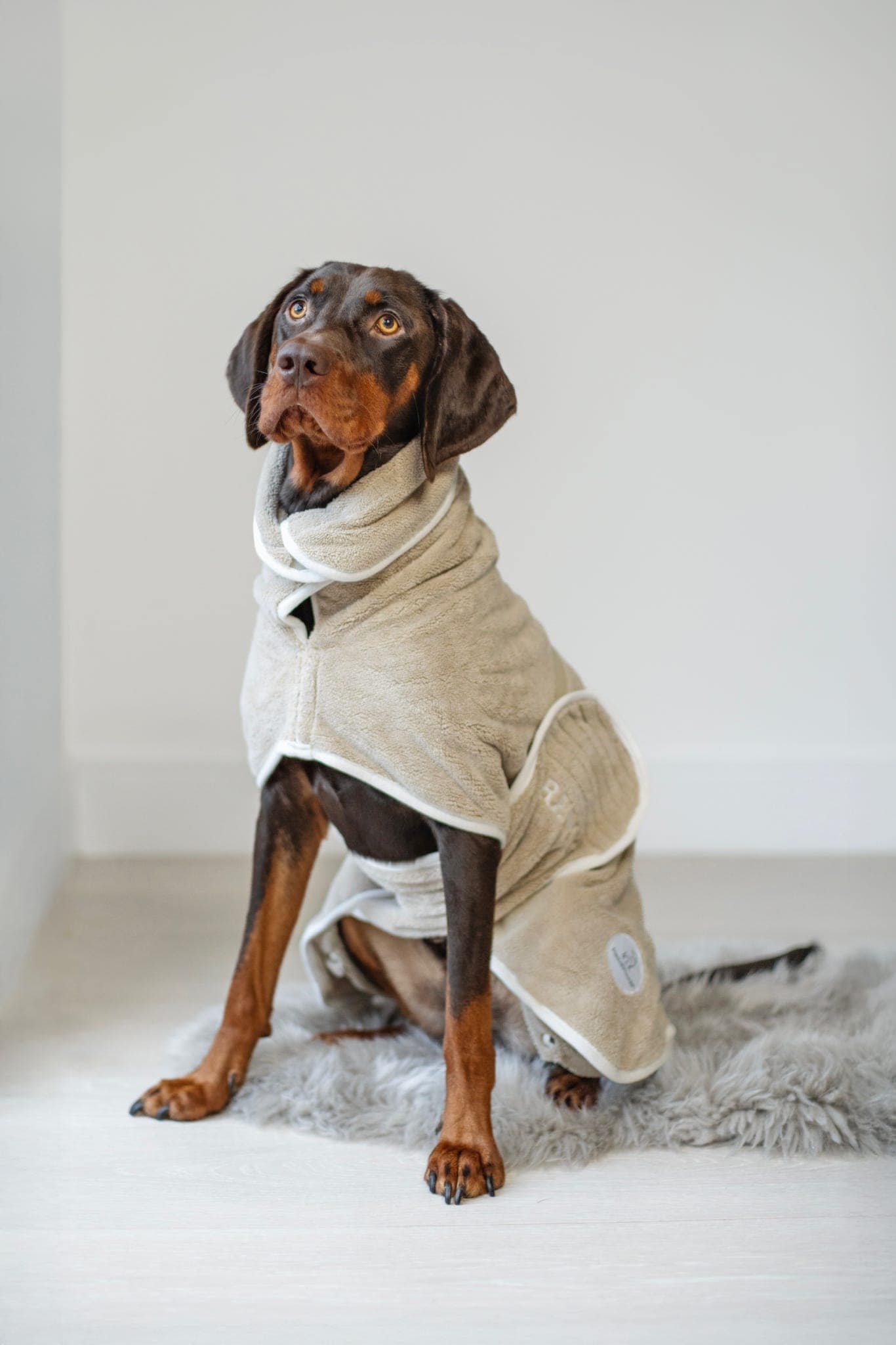 Pastel Pooch Boutique ® Dog Drying Coat