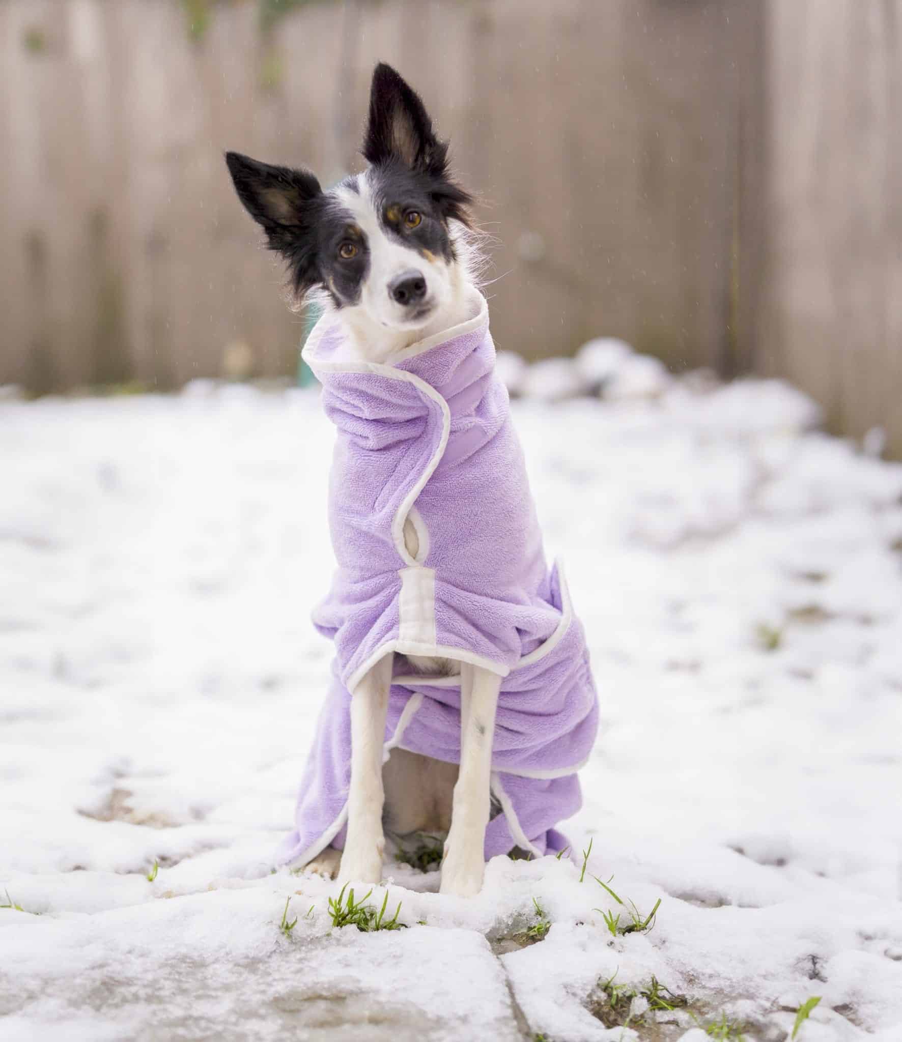 lilac drying robe