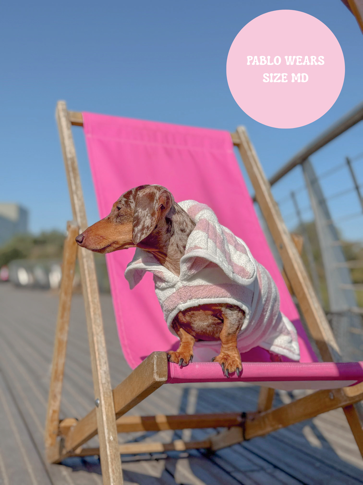 The Striped Collection - Luxury Dog Drying Robes