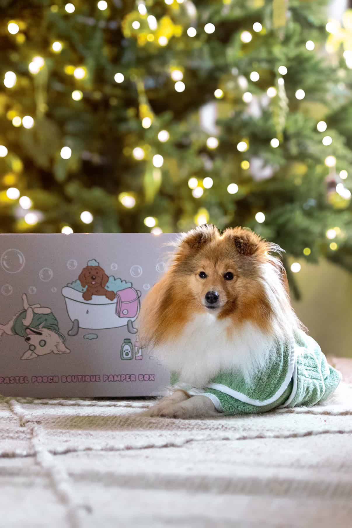 Christmas Pamper Box - Build Your Own