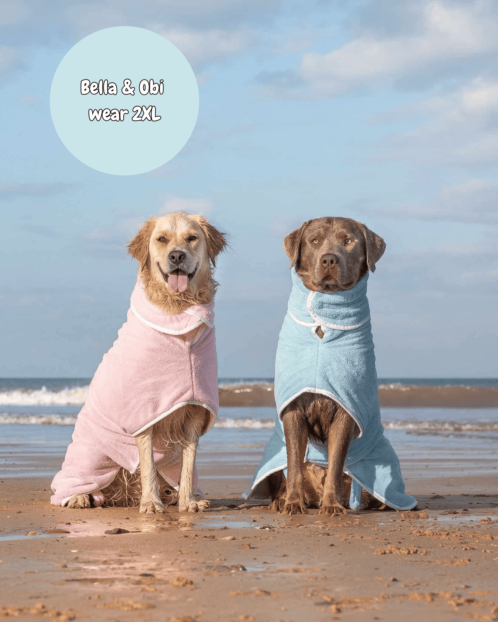 Two dogs wearing hooded towels on a beach with text indicating their size.