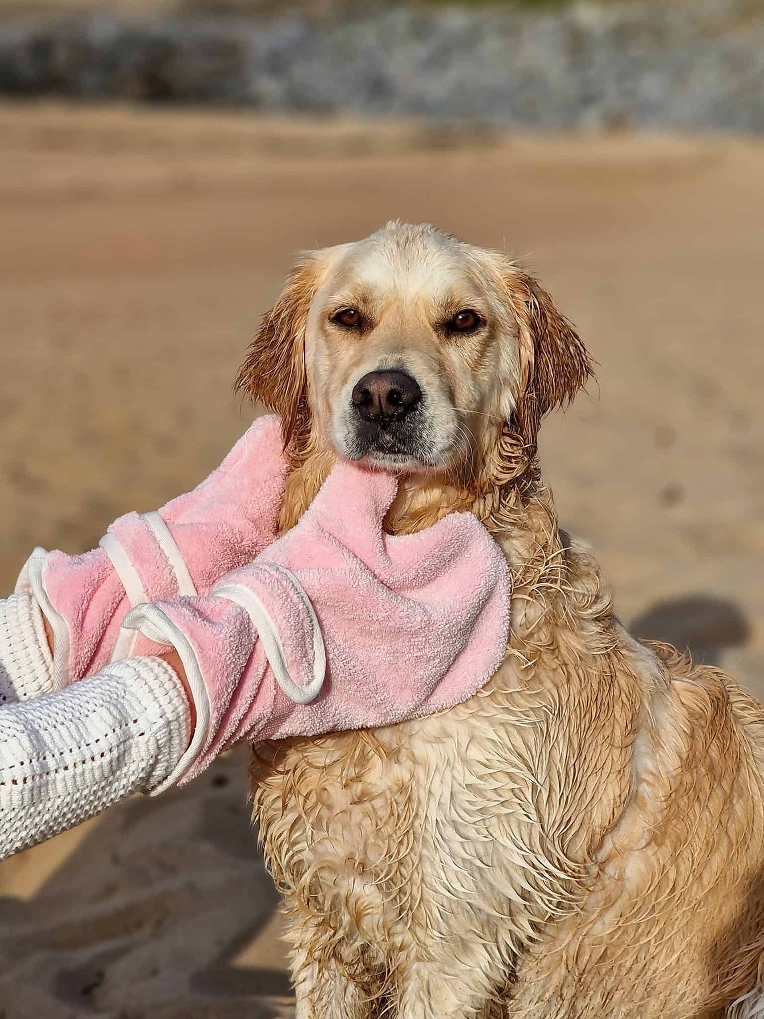 Dog Drying Gloves