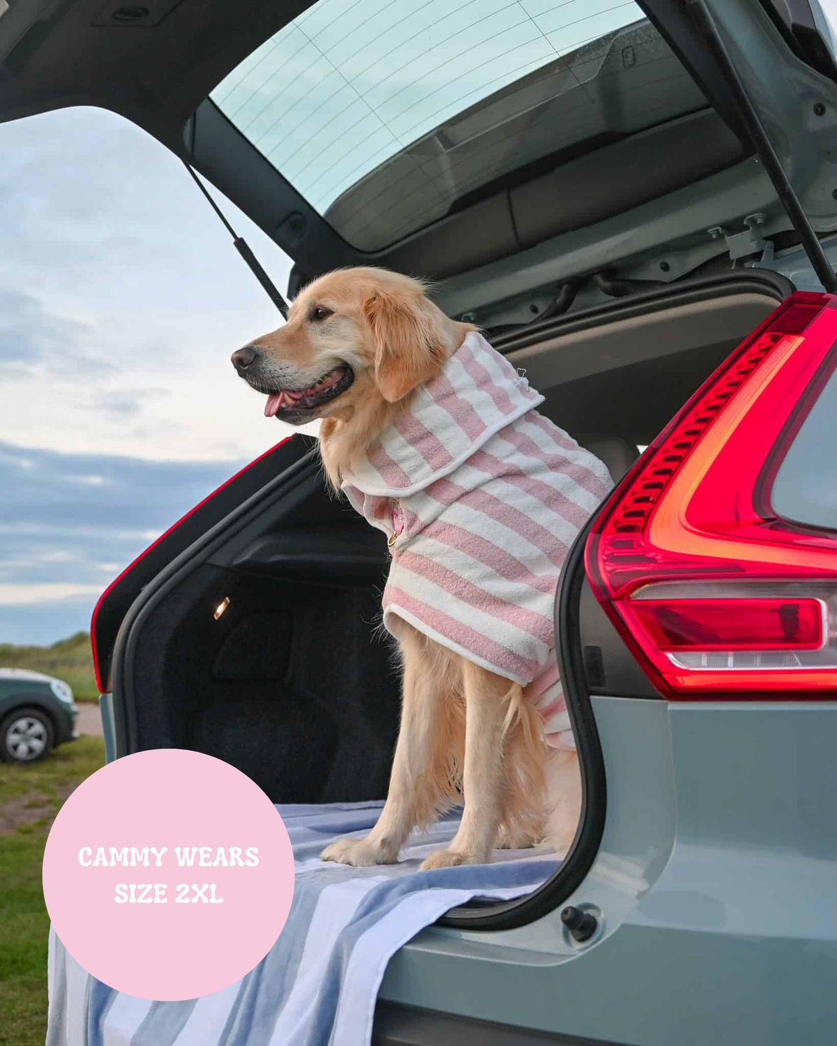 The Striped Collection - Luxury Dog Drying Robes