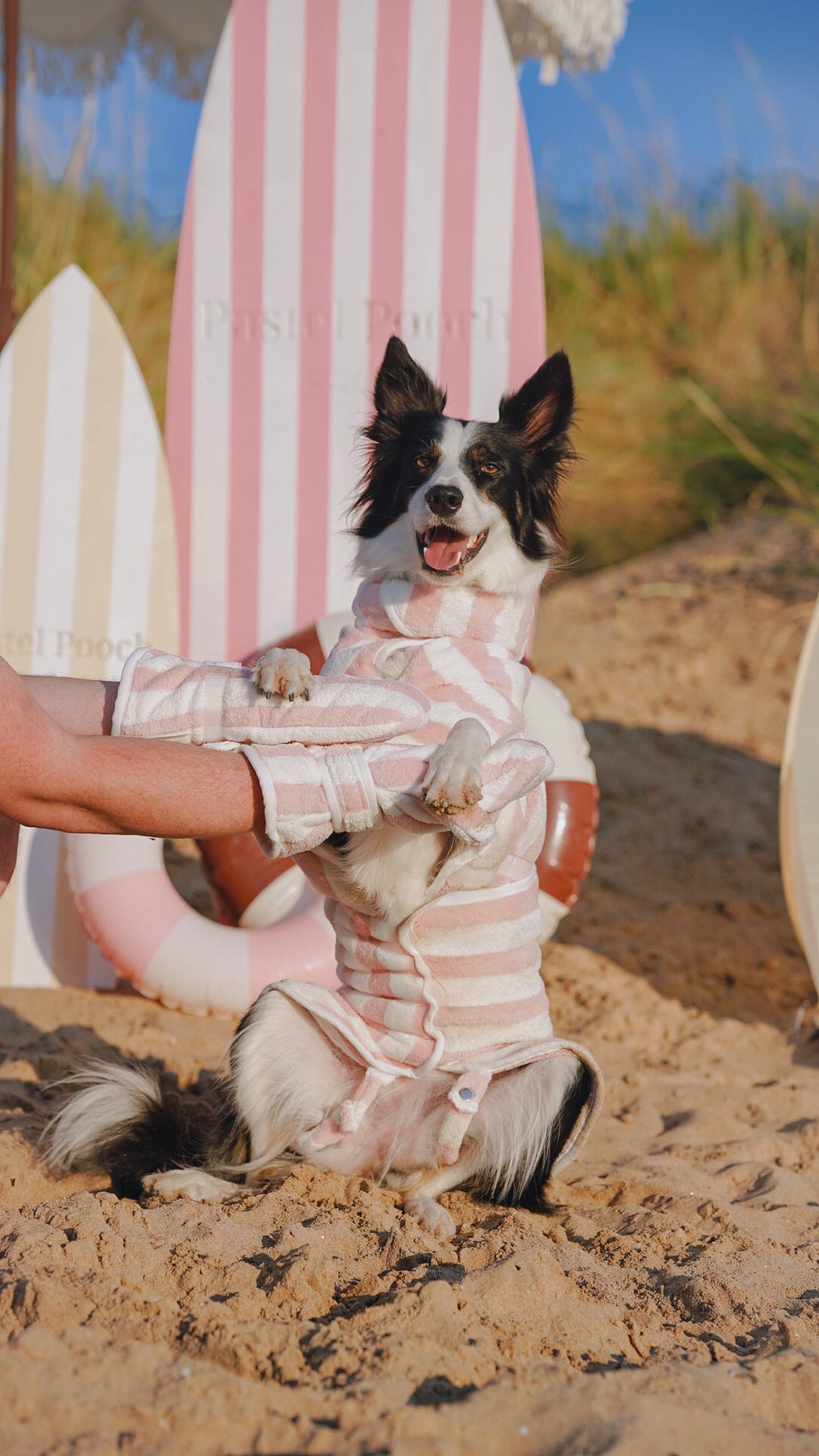 Pastel Pooch Boutique ® Dog Drying Gloves